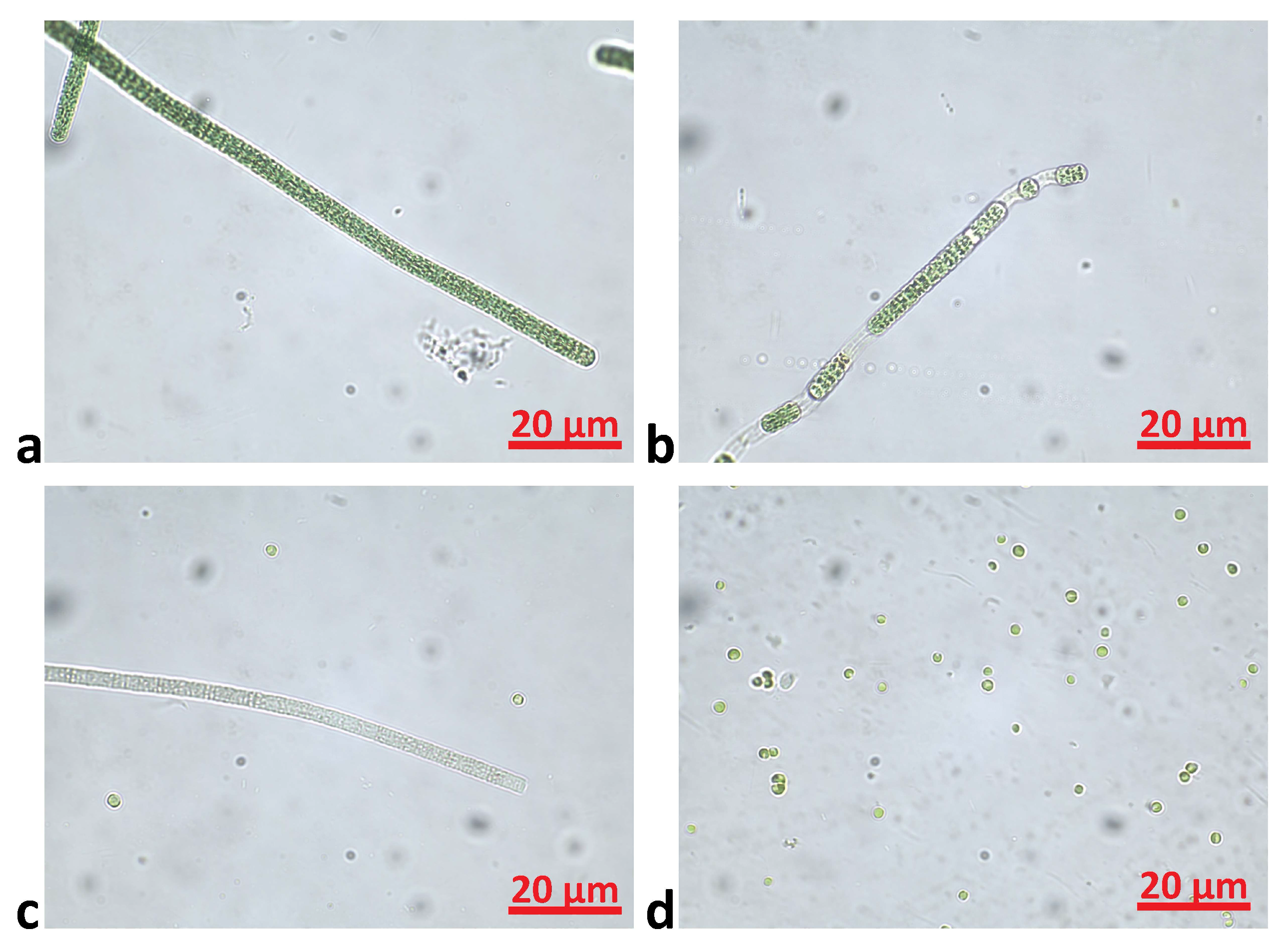 Applsci 15 00791 g002