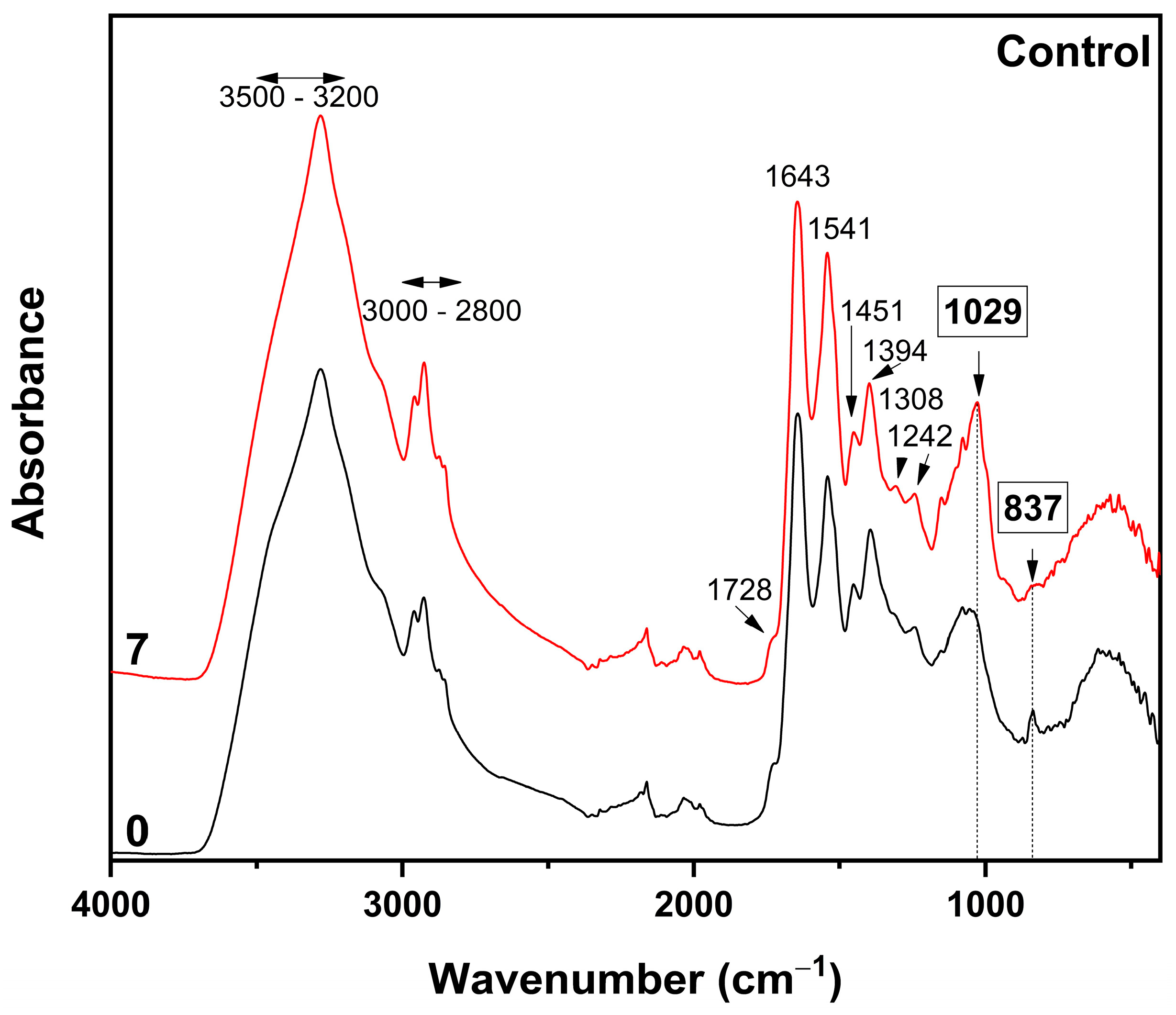 Applsci 15 00791 g006