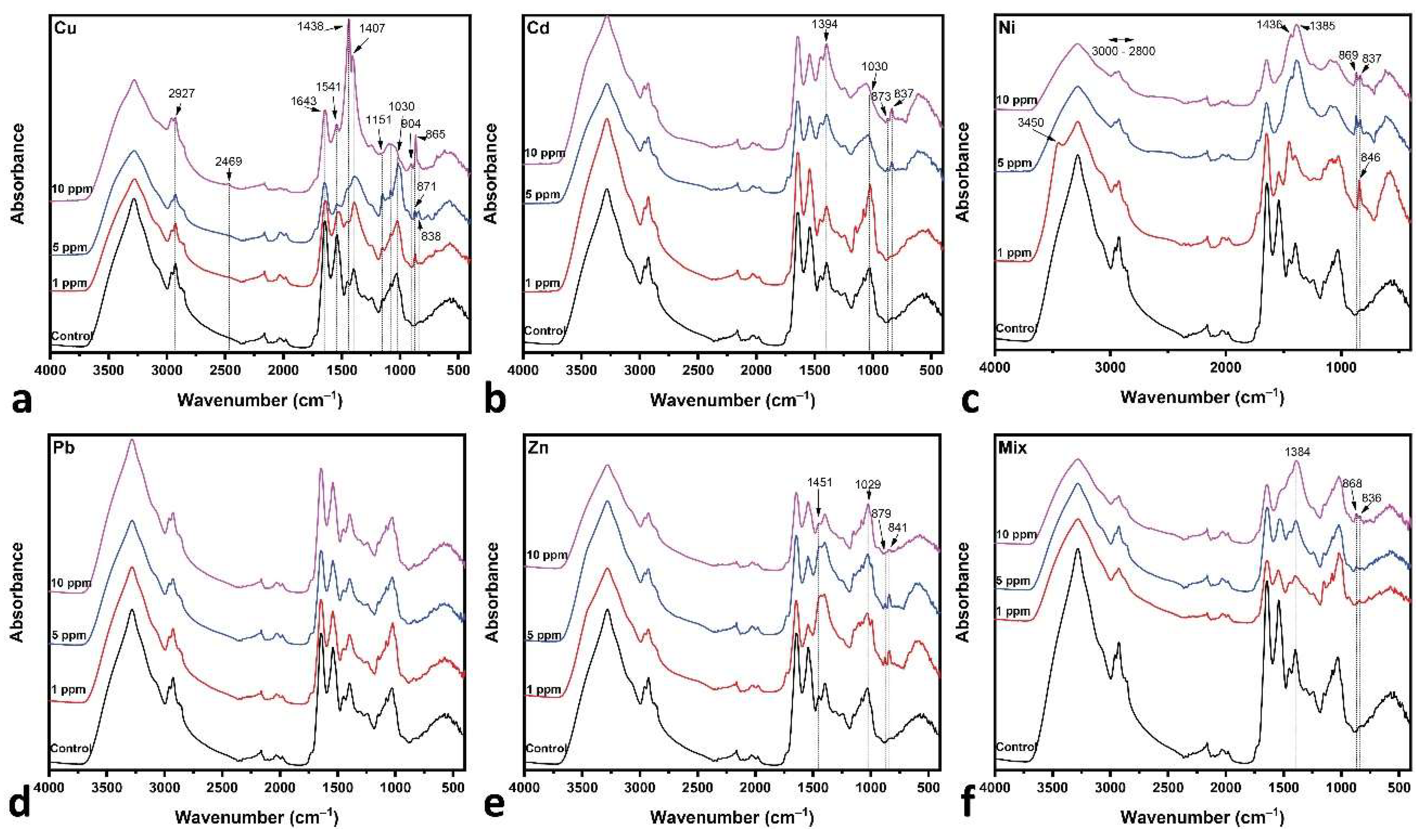 Applsci 15 00791 g007