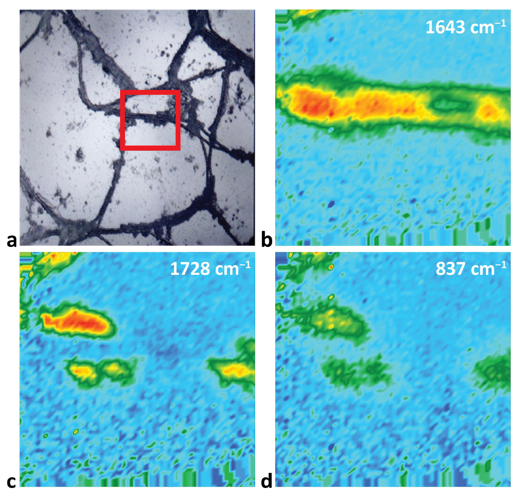 Applsci 15 00791 g008