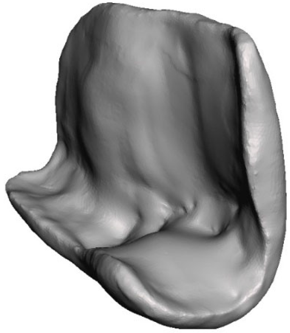 Applsci 15 00794 g004 Applsci 15 00794 g004