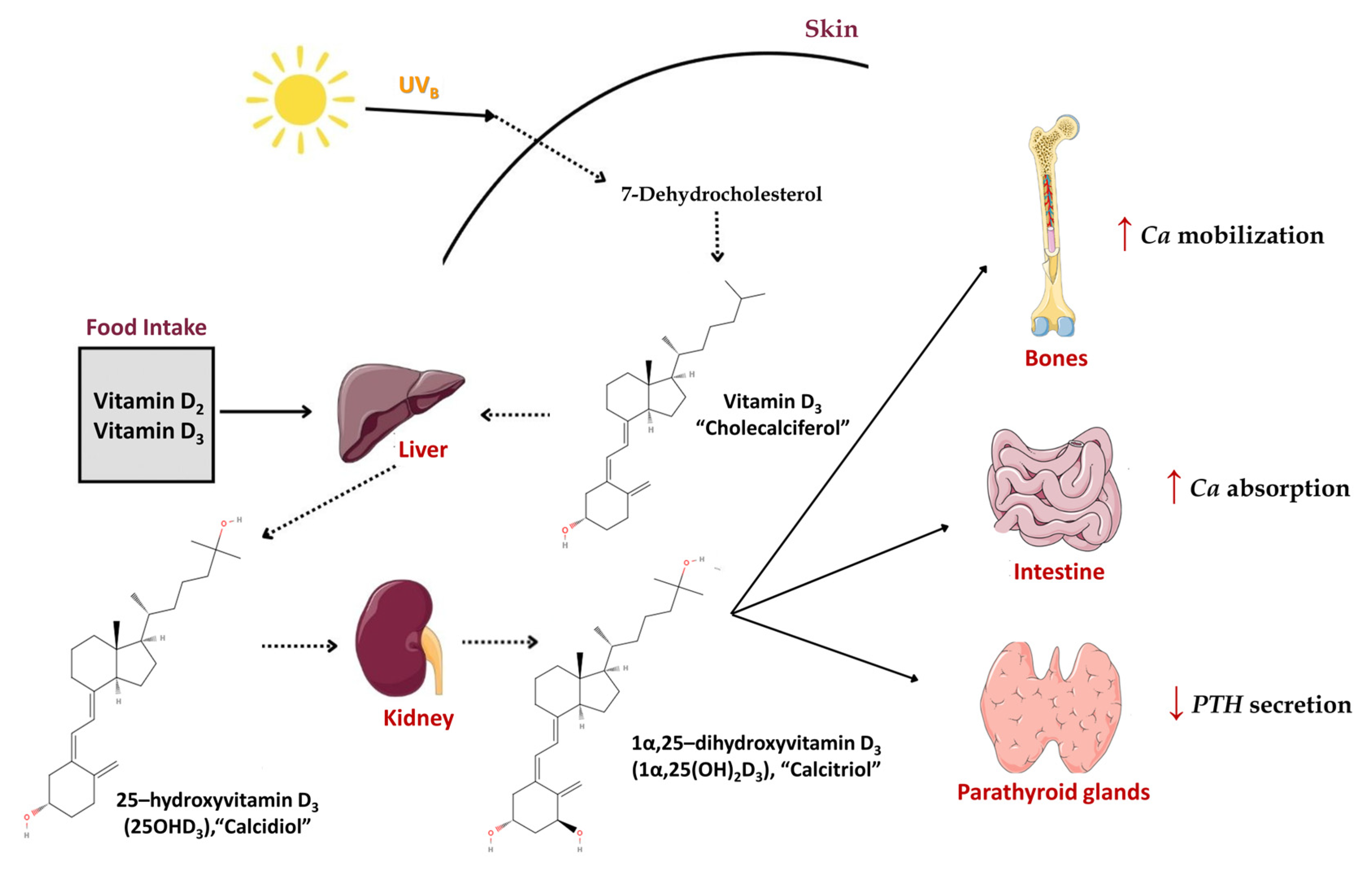 Applsci 15 00796 g003