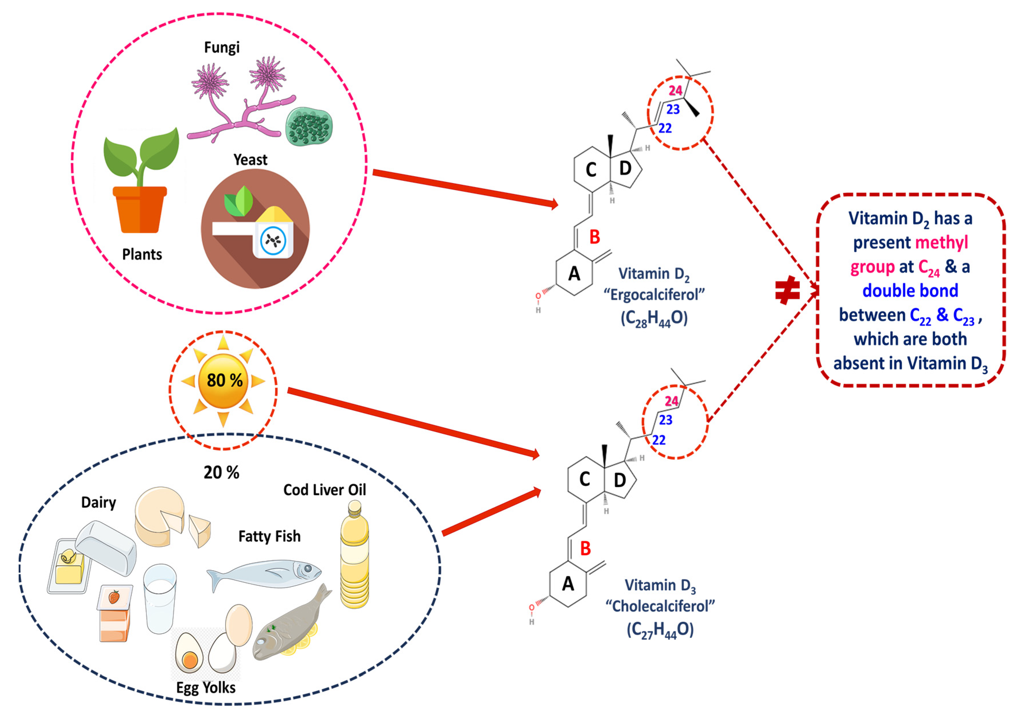 Applsci 15 00796 g004