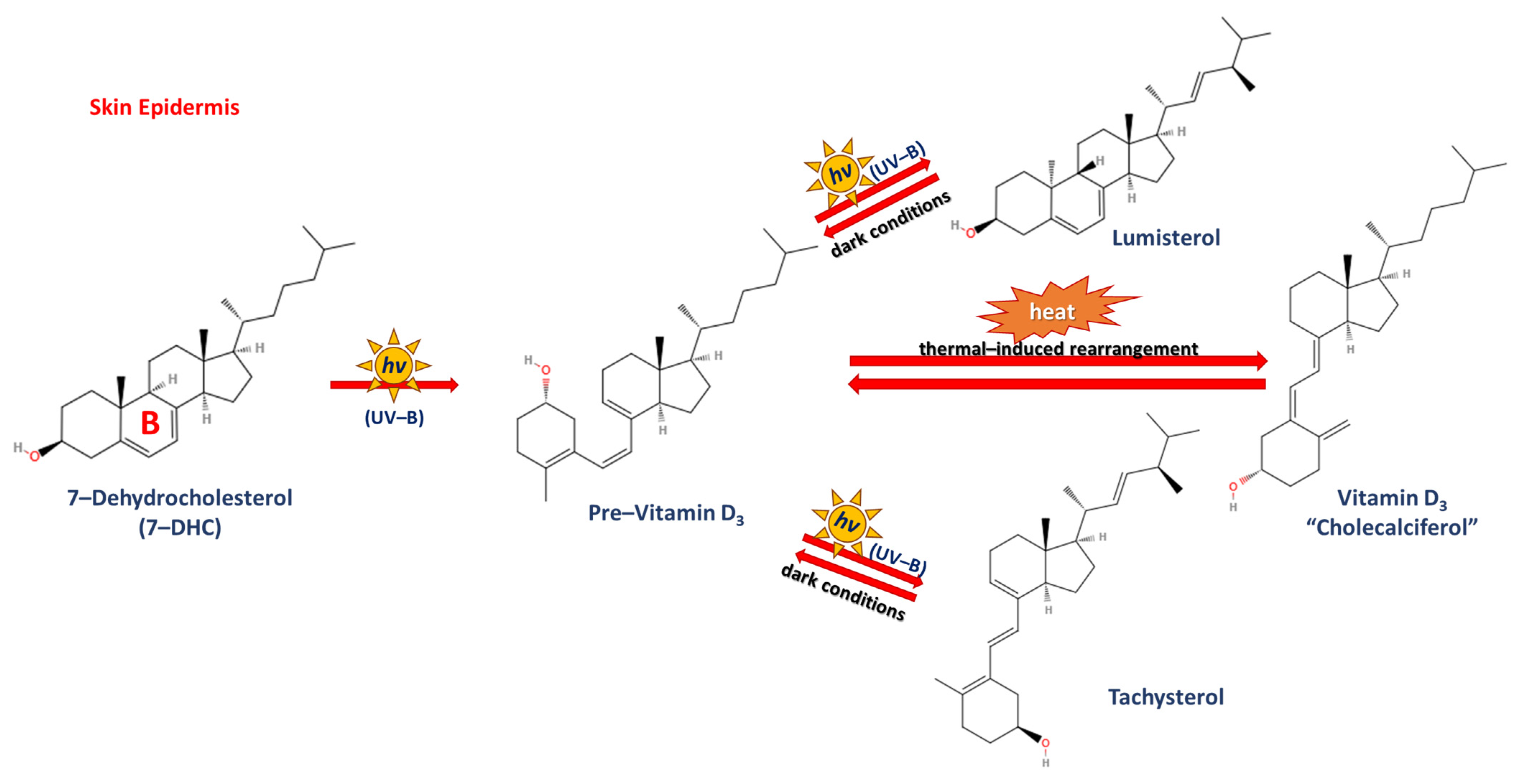 Applsci 15 00796 g005