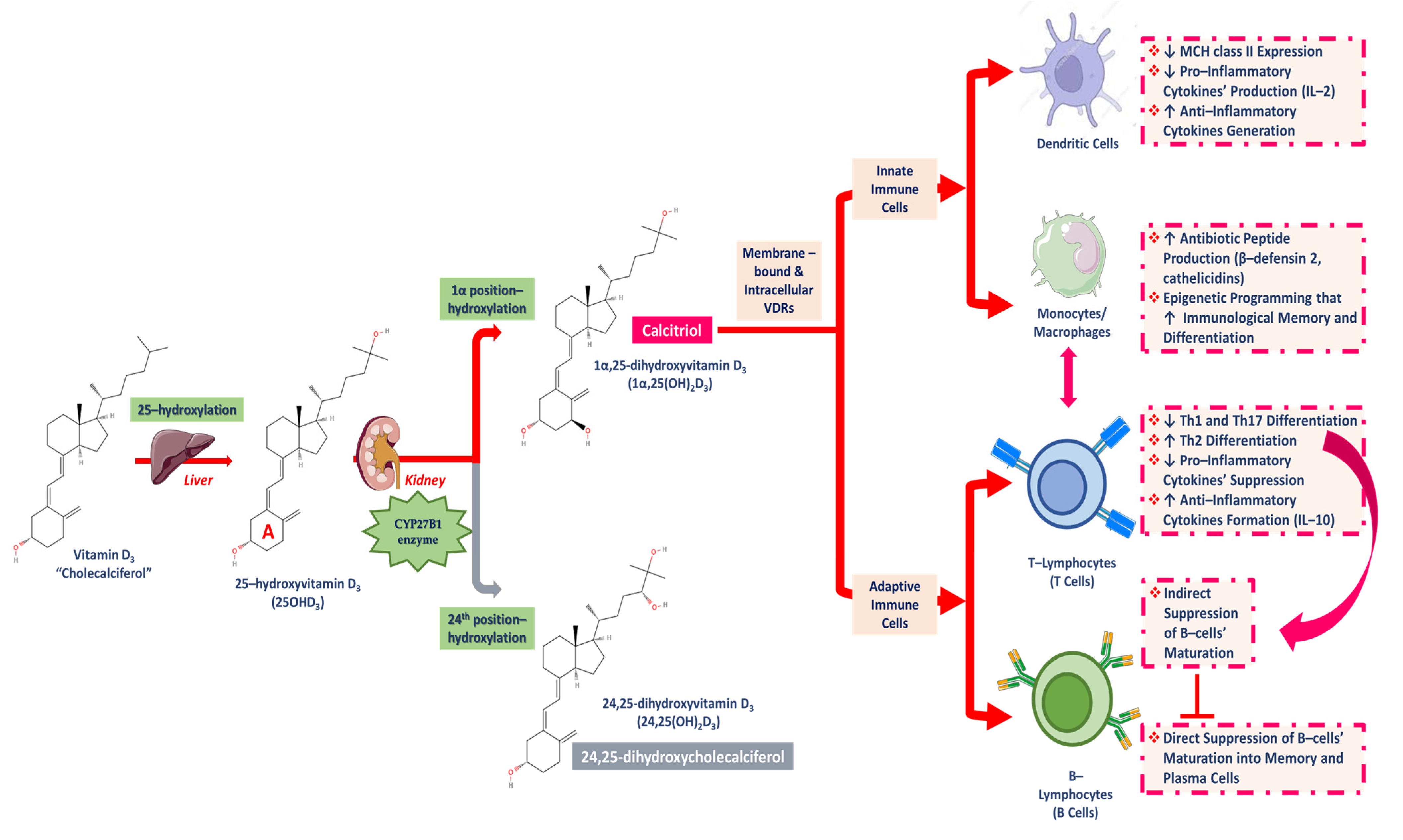 Applsci 15 00796 g006