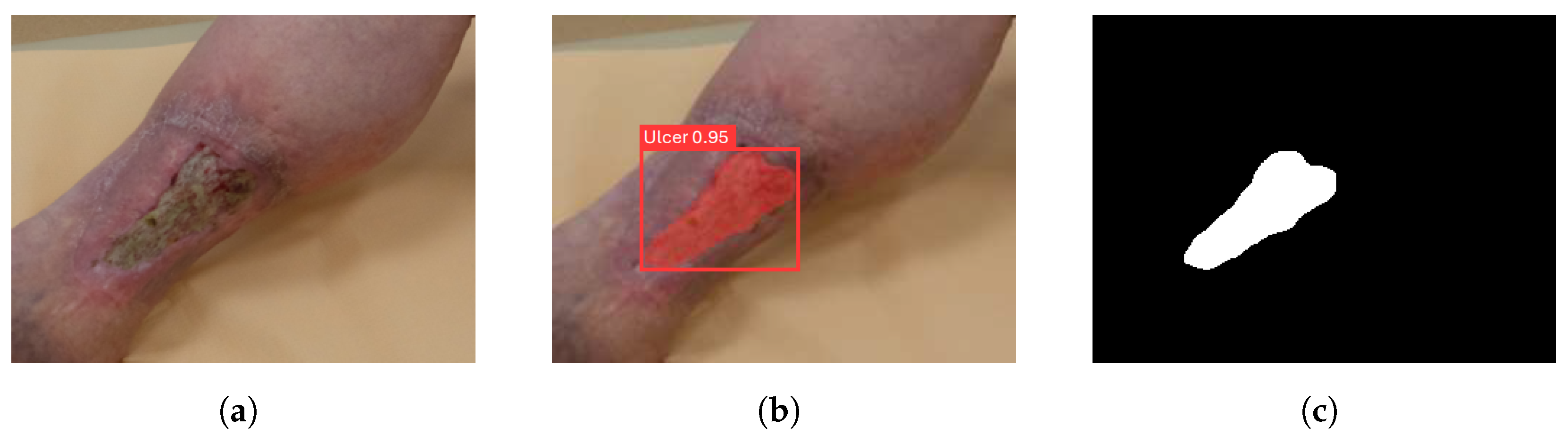 Applsci 15 00833 g007