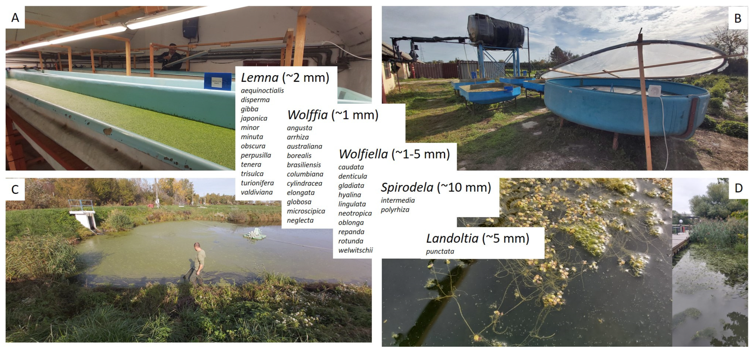 Applsci 15 00884 g001