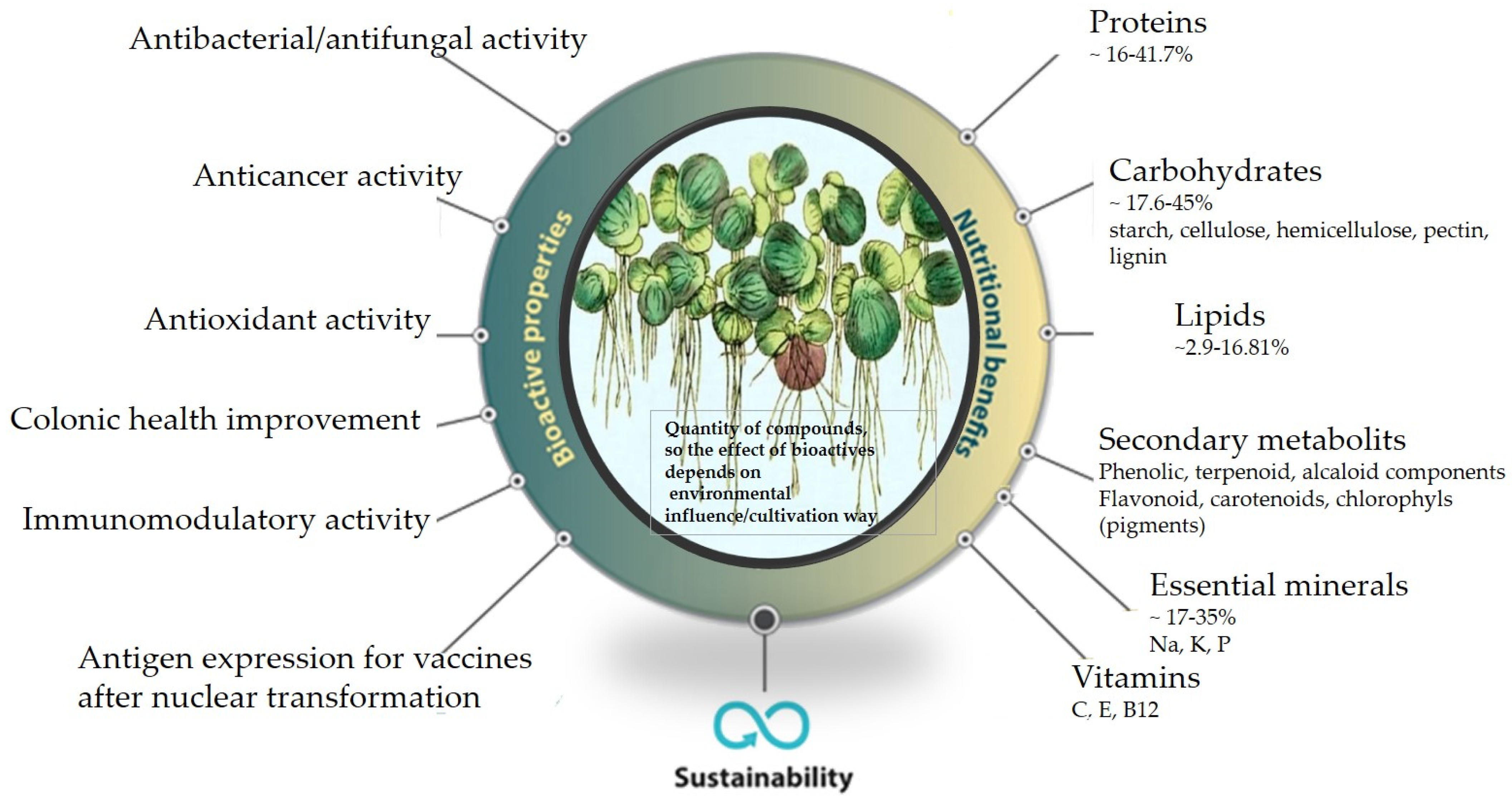 Applsci 15 00884 g002