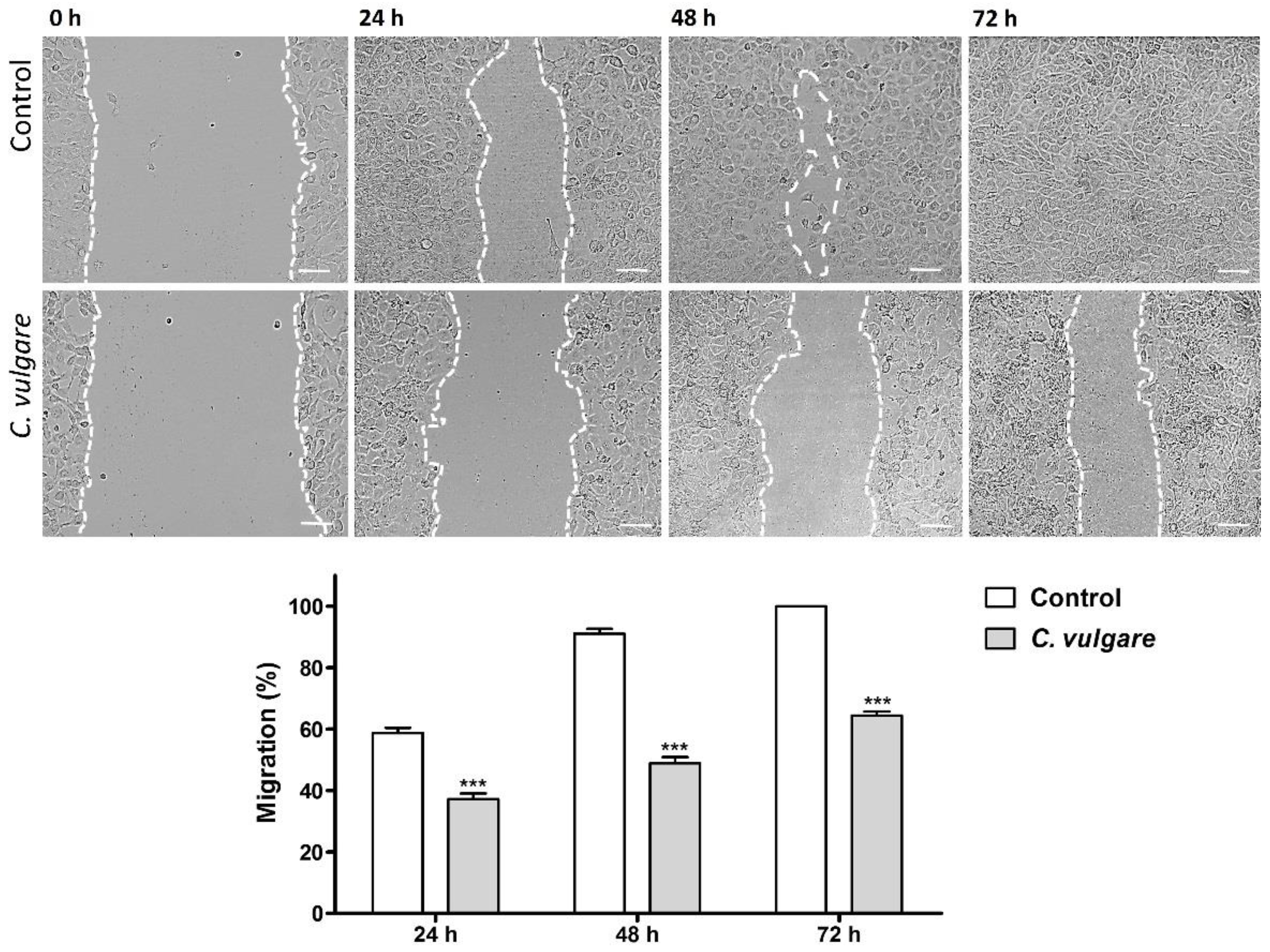 Applsci 15 00925 g003