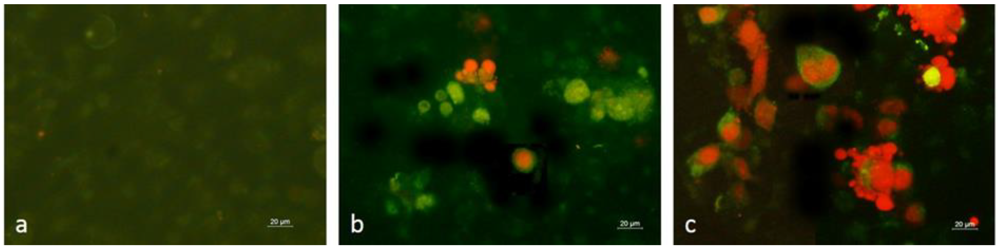 Applsci 15 00925 g005