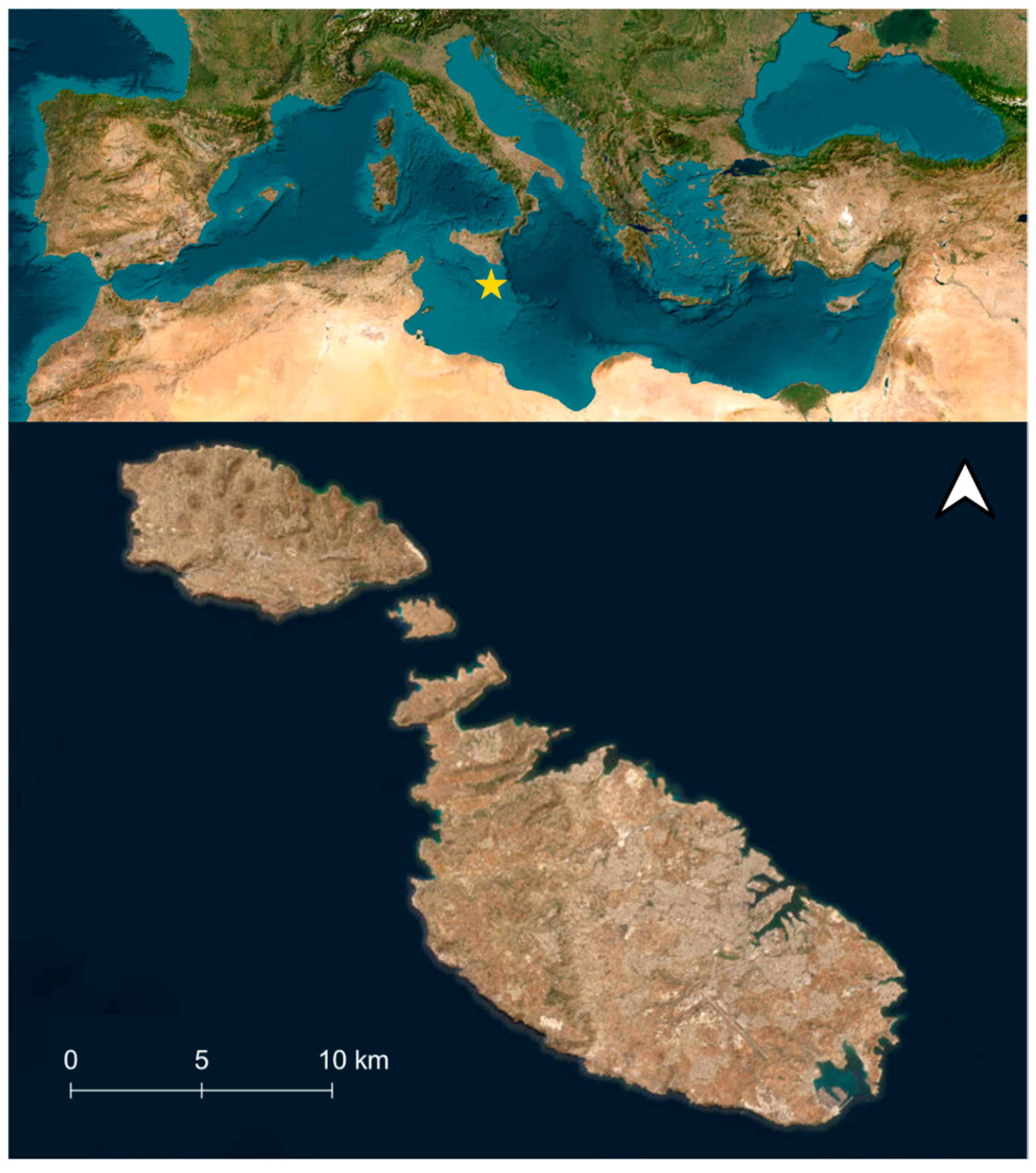 Applsci 15 00929 g001