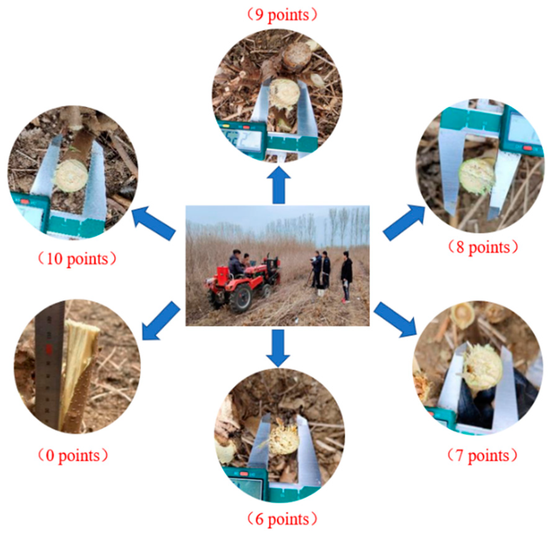 Applsci 15 00940 g011 Applsci 15 00940 g011