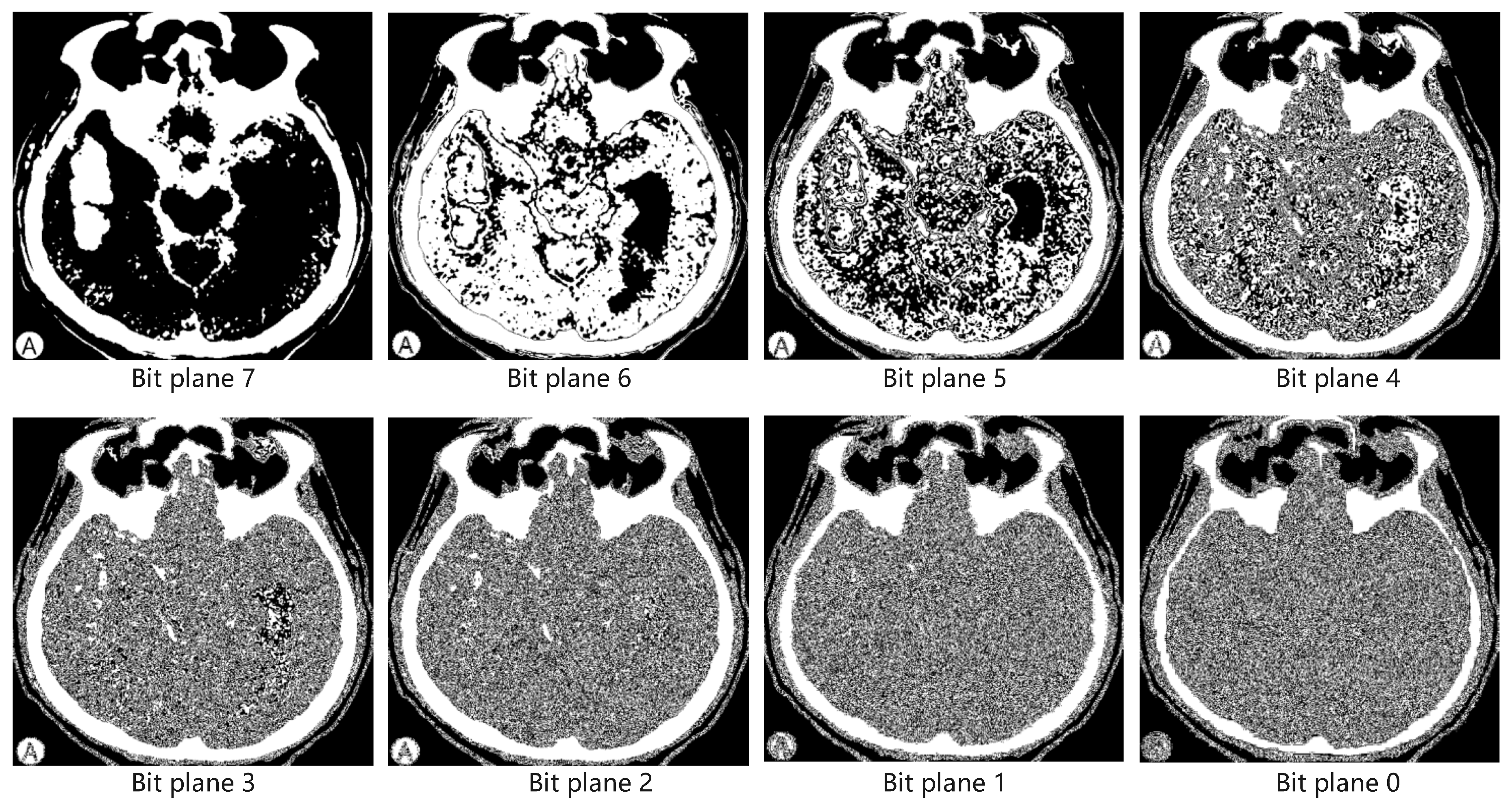 Applsci 15 00963 g002