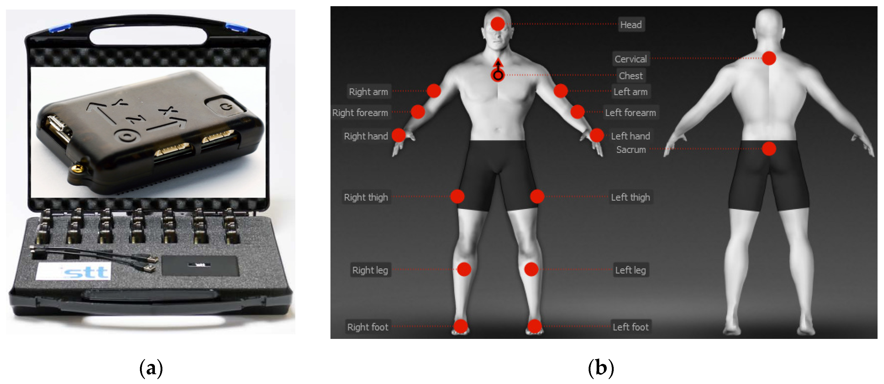 Applsci 15 01011 g003