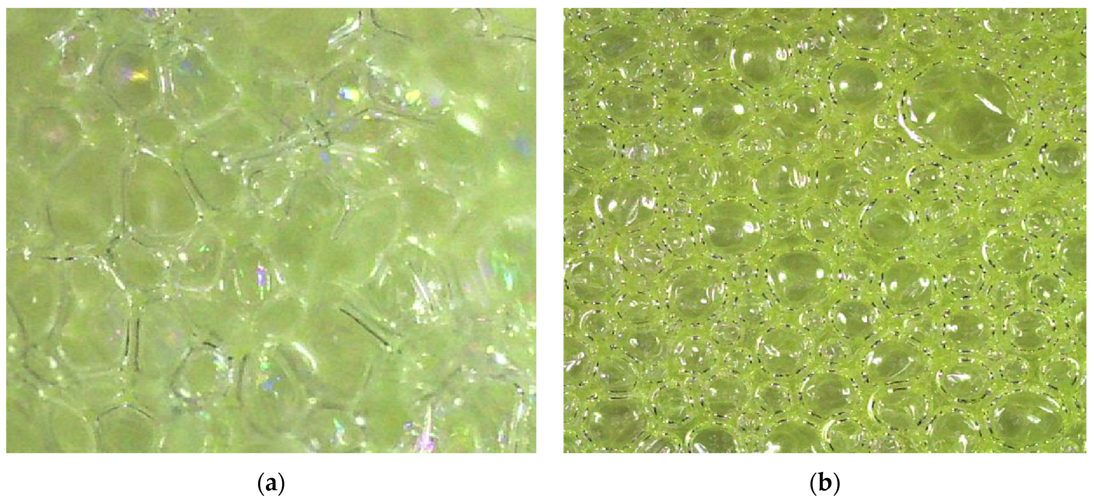 Applsci 15 01017 g009