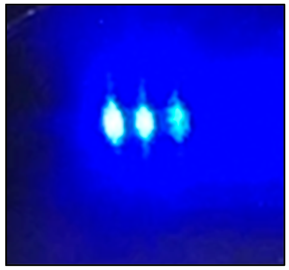 Applsci 15 01041 g002 Applsci 15 01041 g002