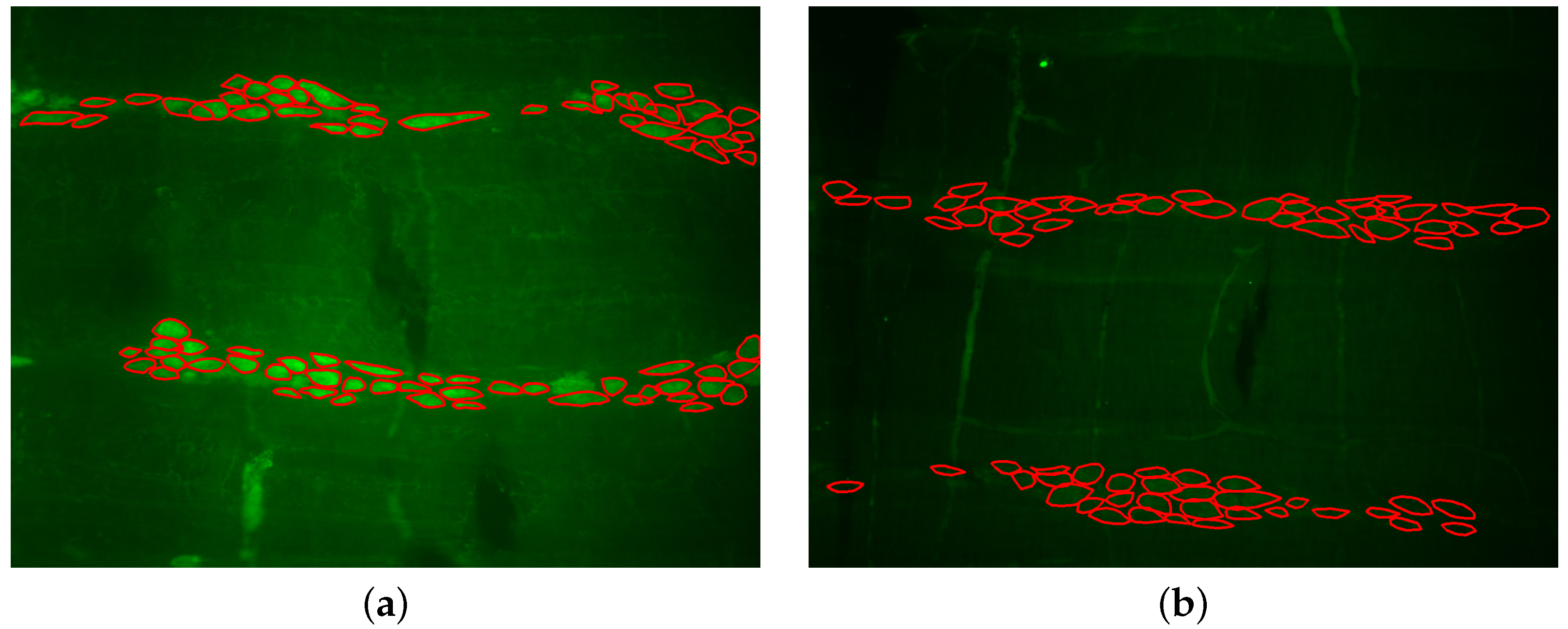 Applsci 15 01046 g002