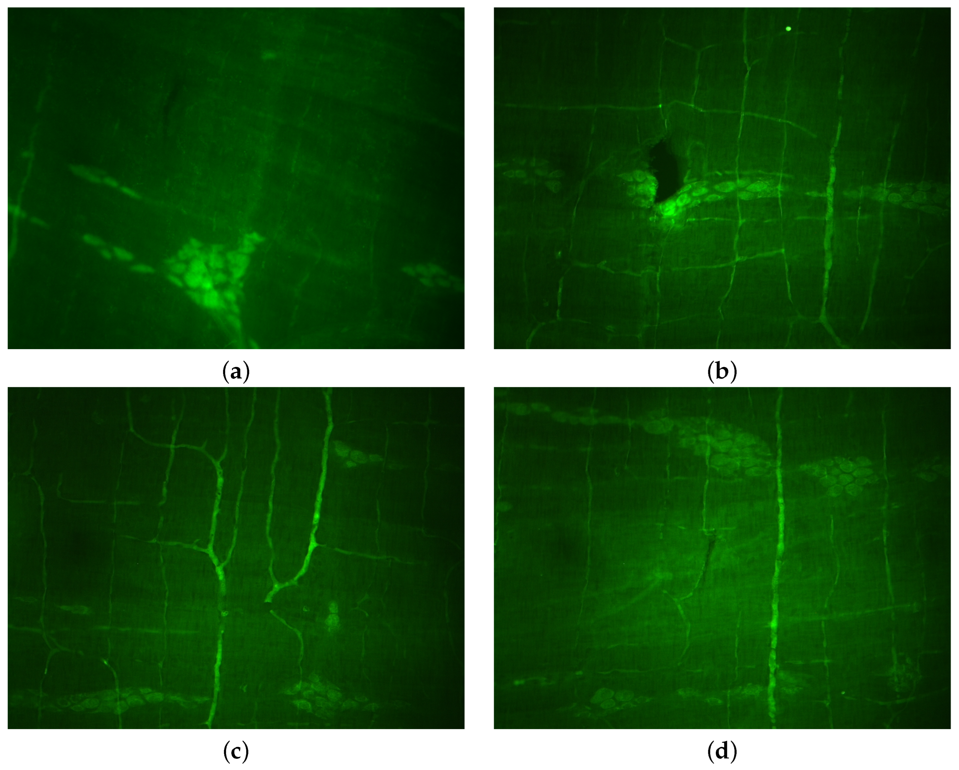 Applsci 15 01046 g003