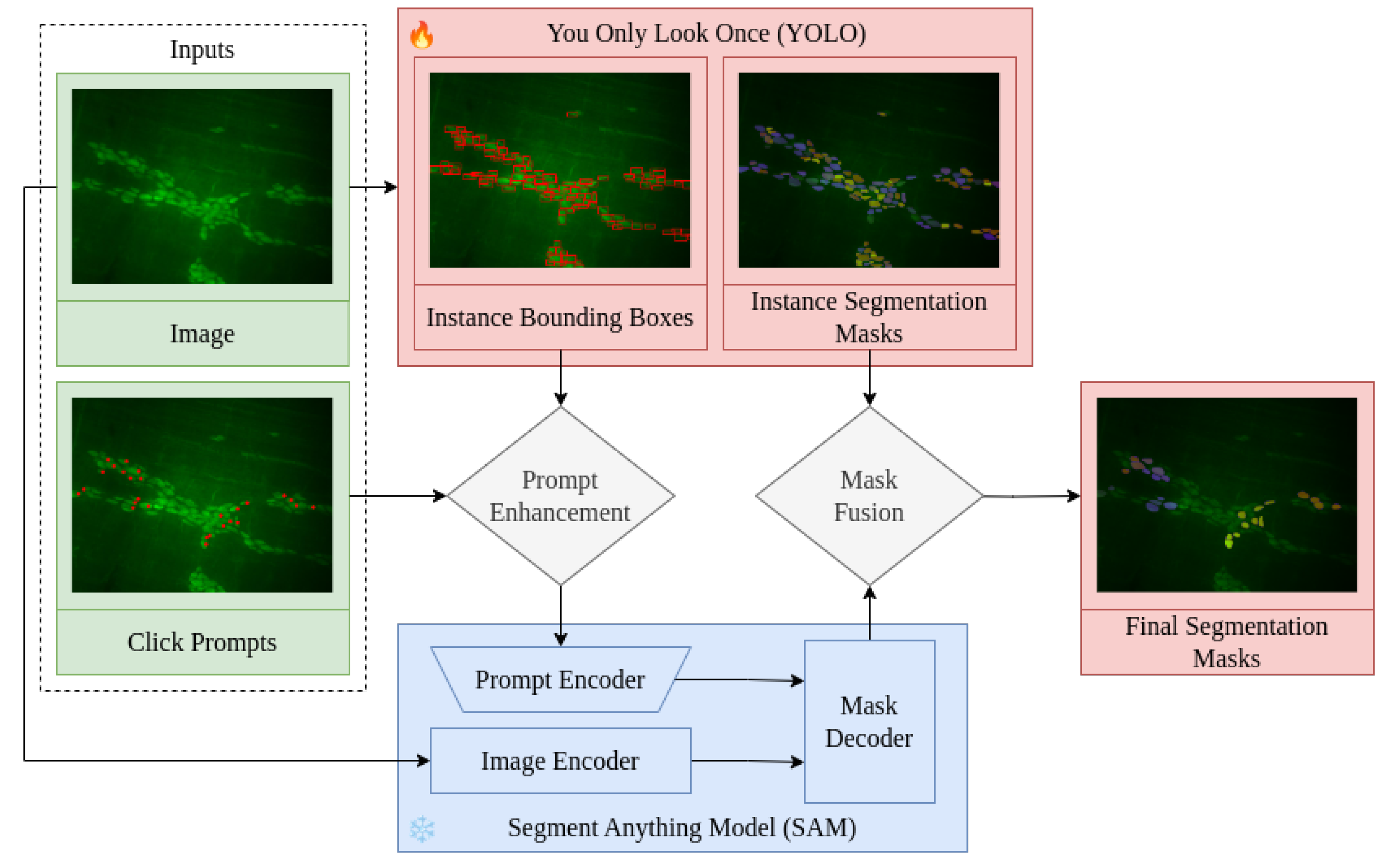 Applsci 15 01046 g004