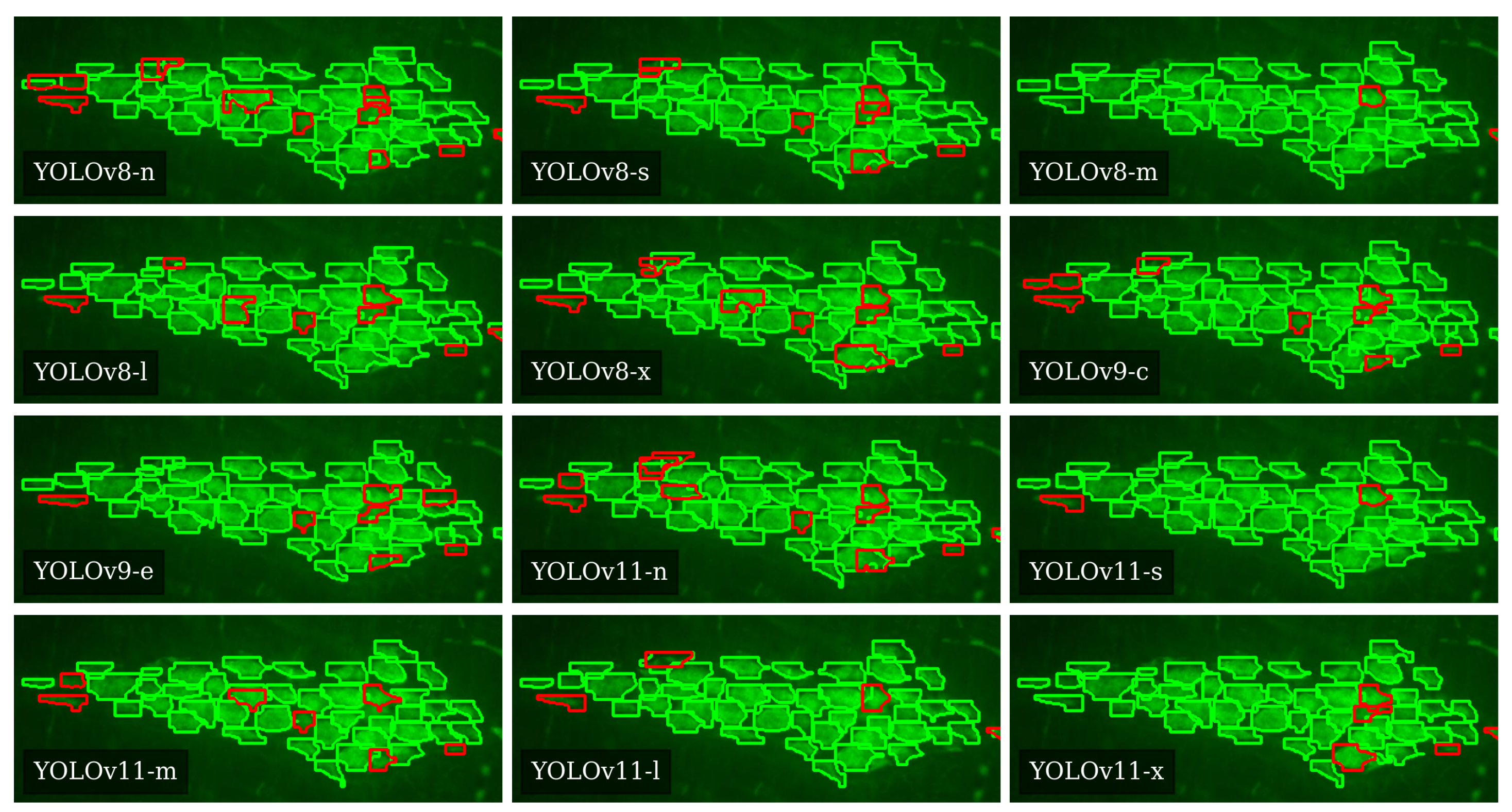 Applsci 15 01046 g009