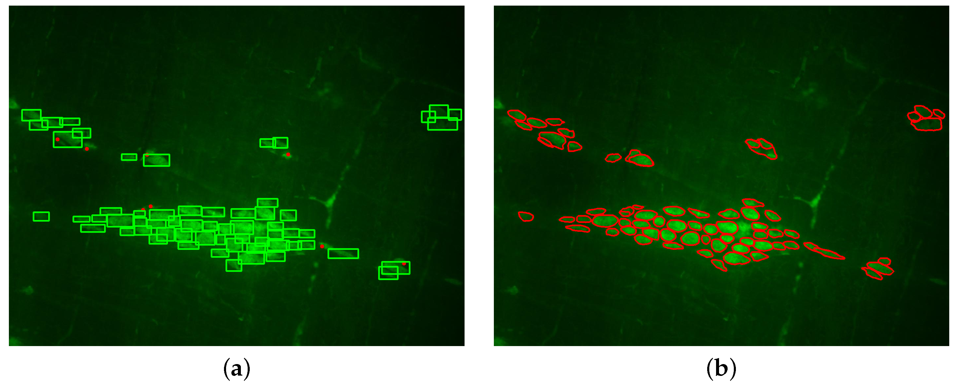 Applsci 15 01046 g010
