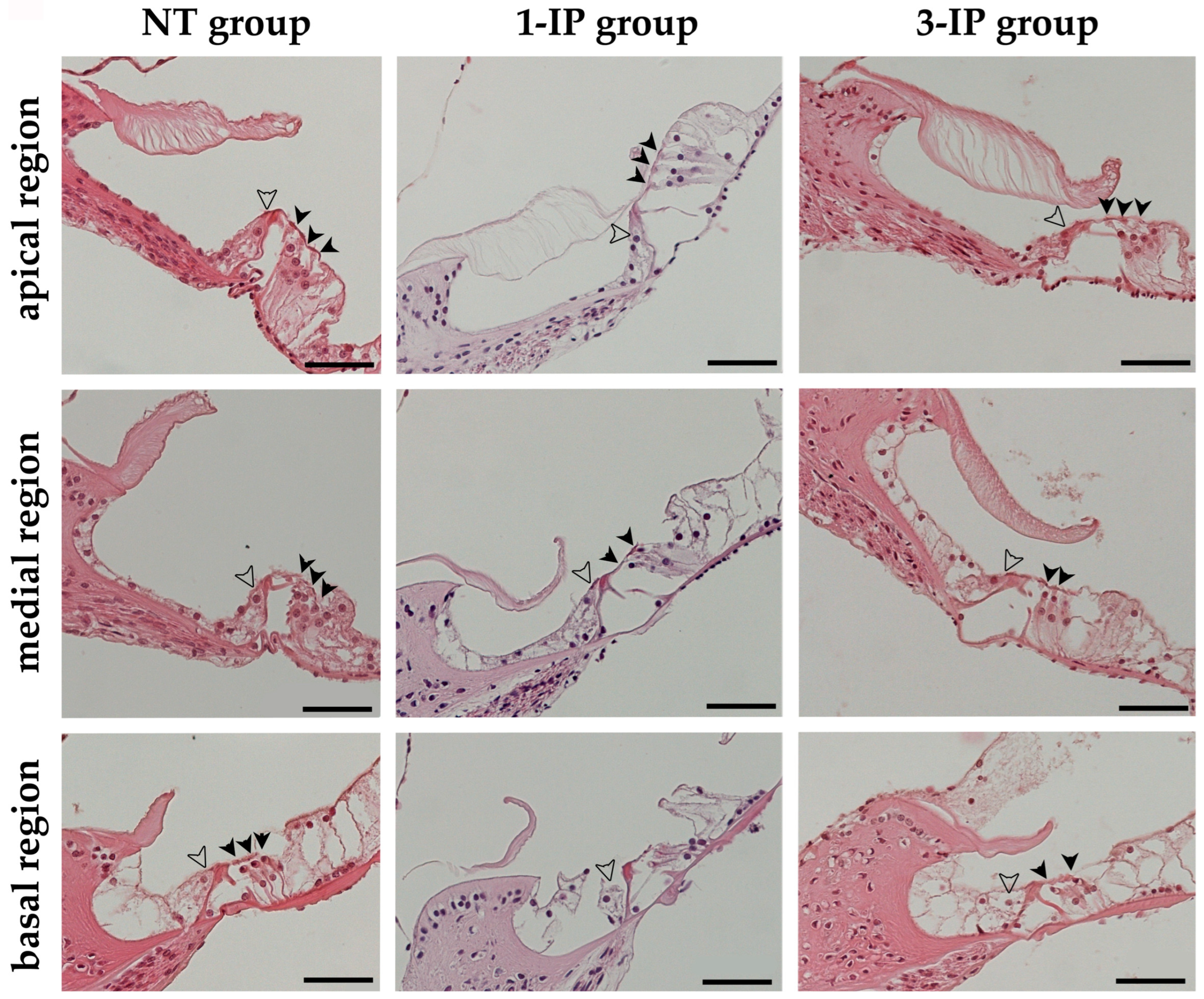 Applsci 15 01090 g004