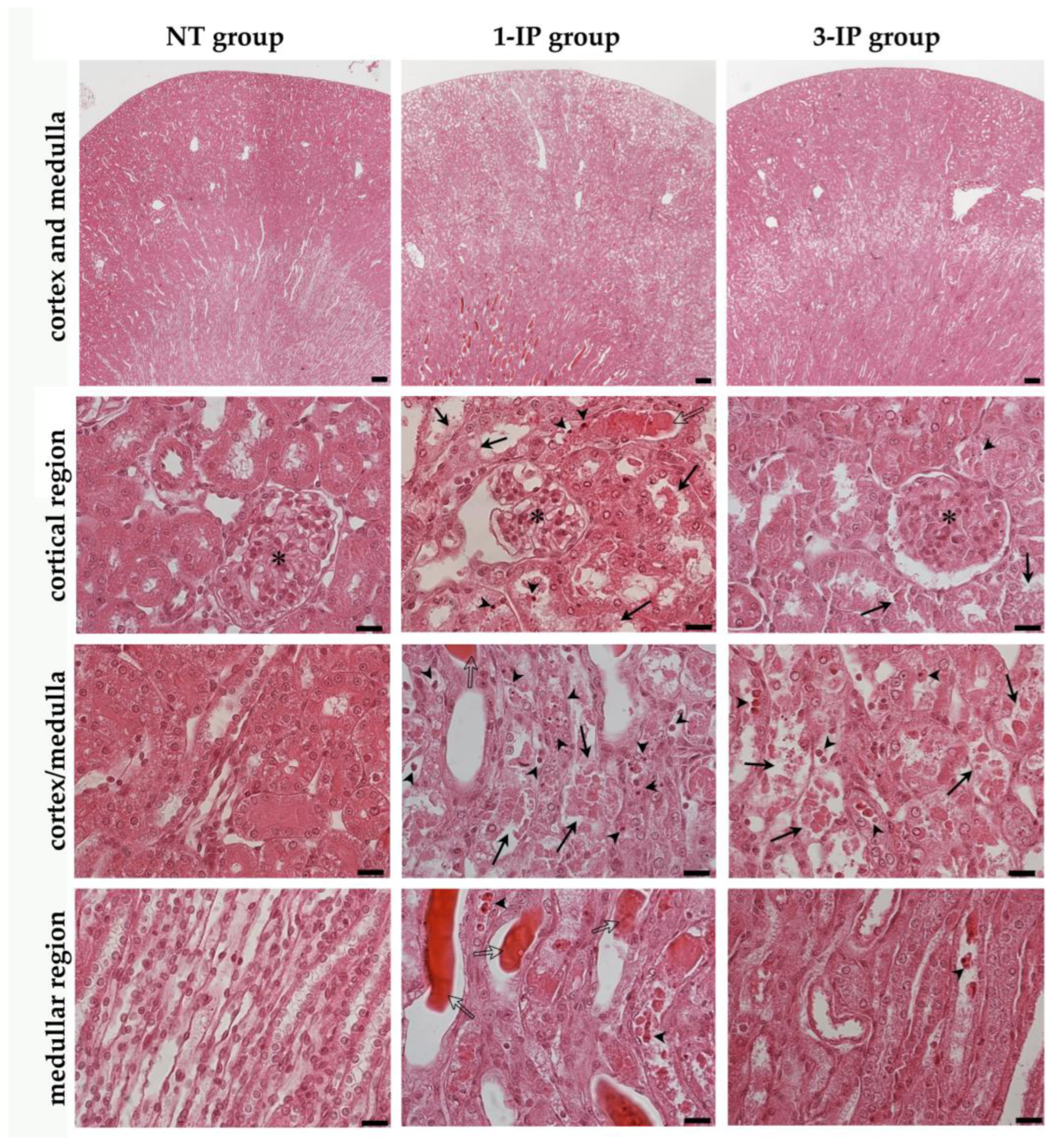 Applsci 15 01090 g006