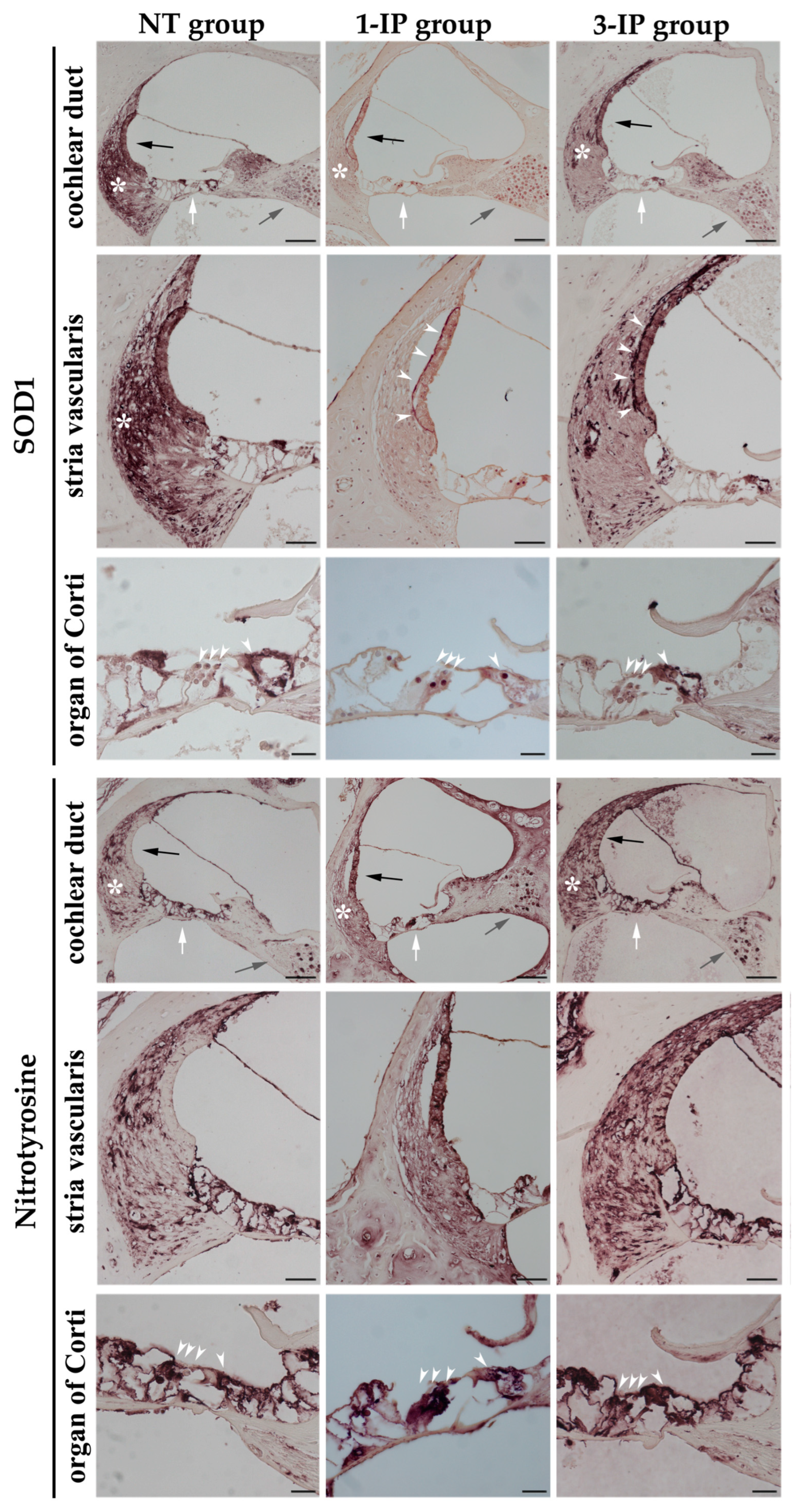 Applsci 15 01090 g008