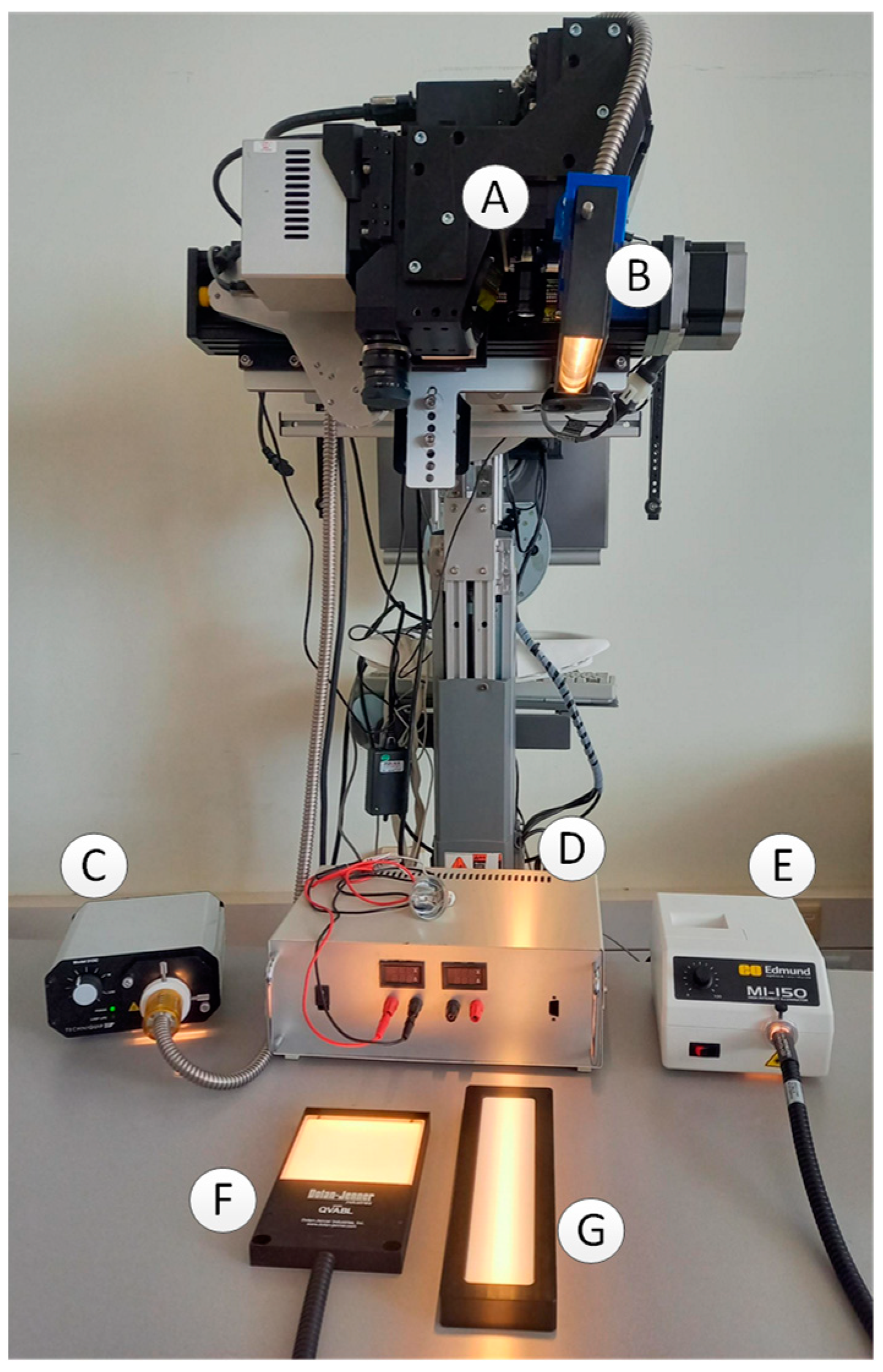 Applsci 15 01093 g008