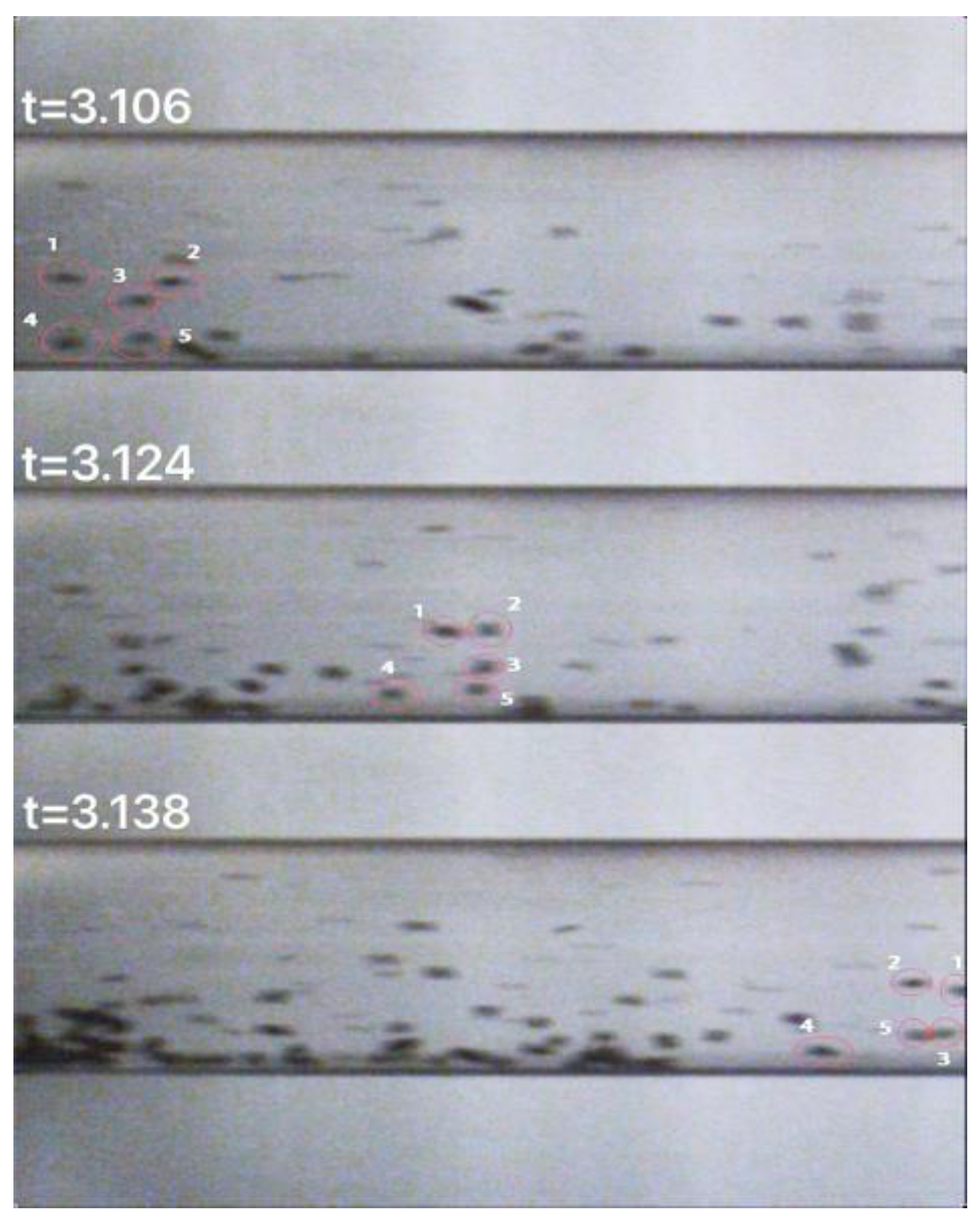 Applsci 15 01109 g010