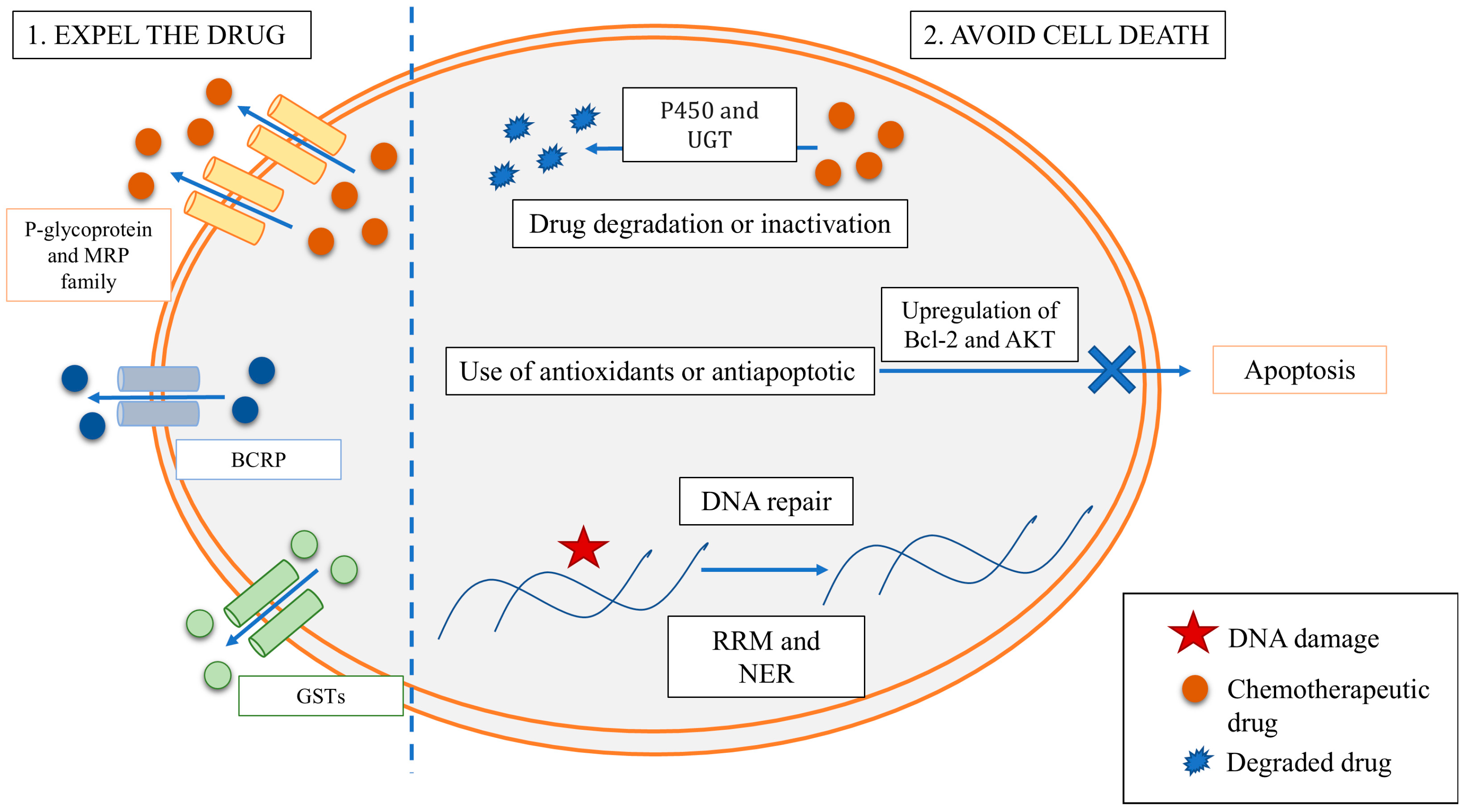 Applsci 15 01125 g001