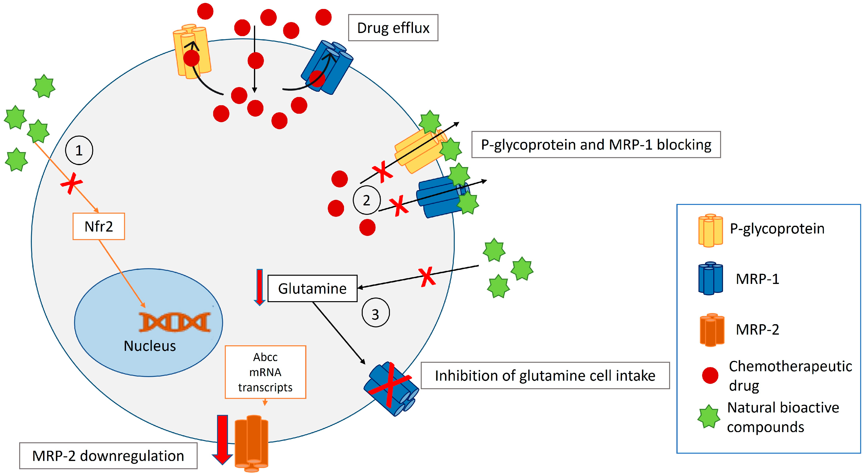 Applsci 15 01125 g002