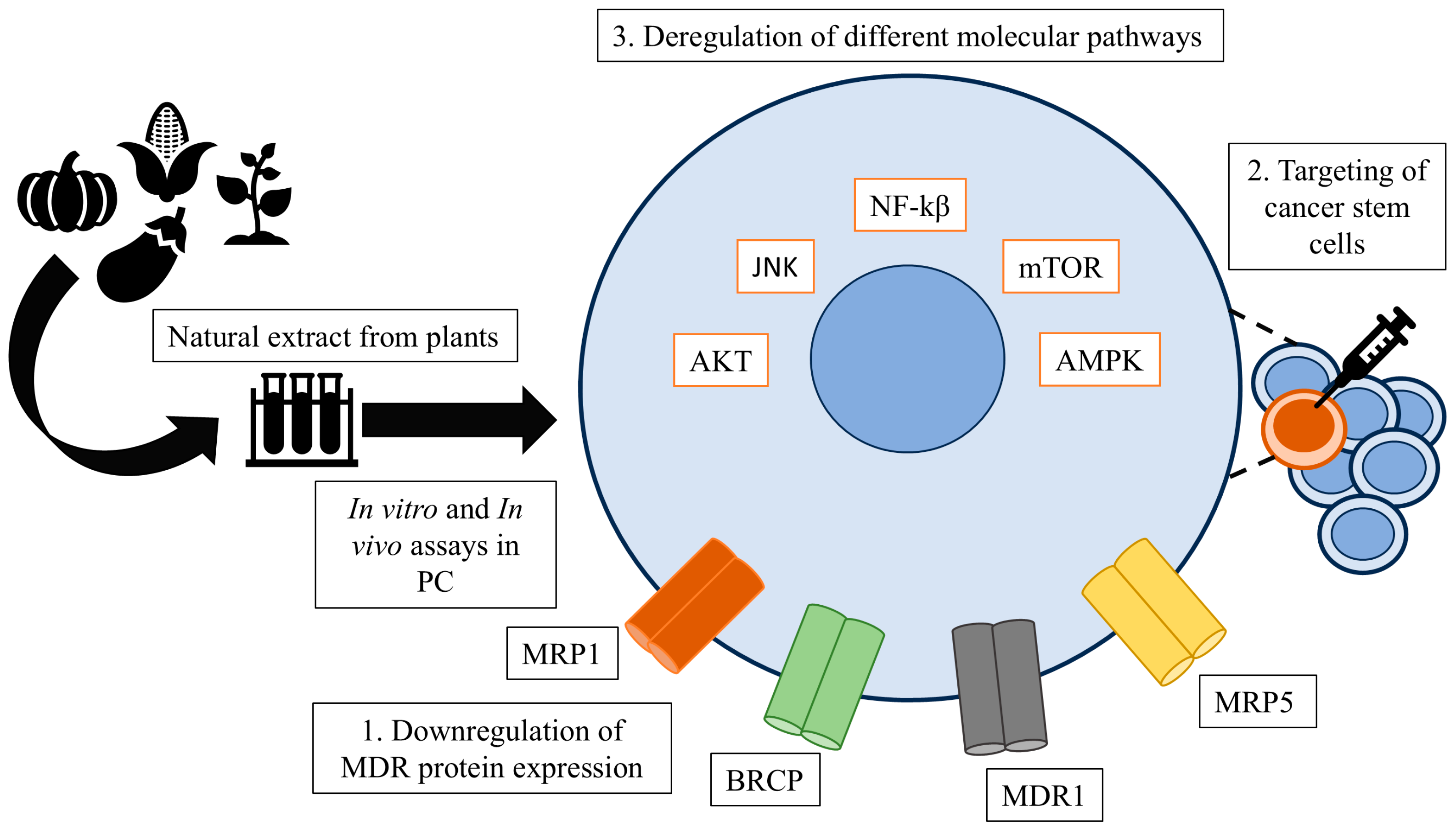Applsci 15 01125 g003
