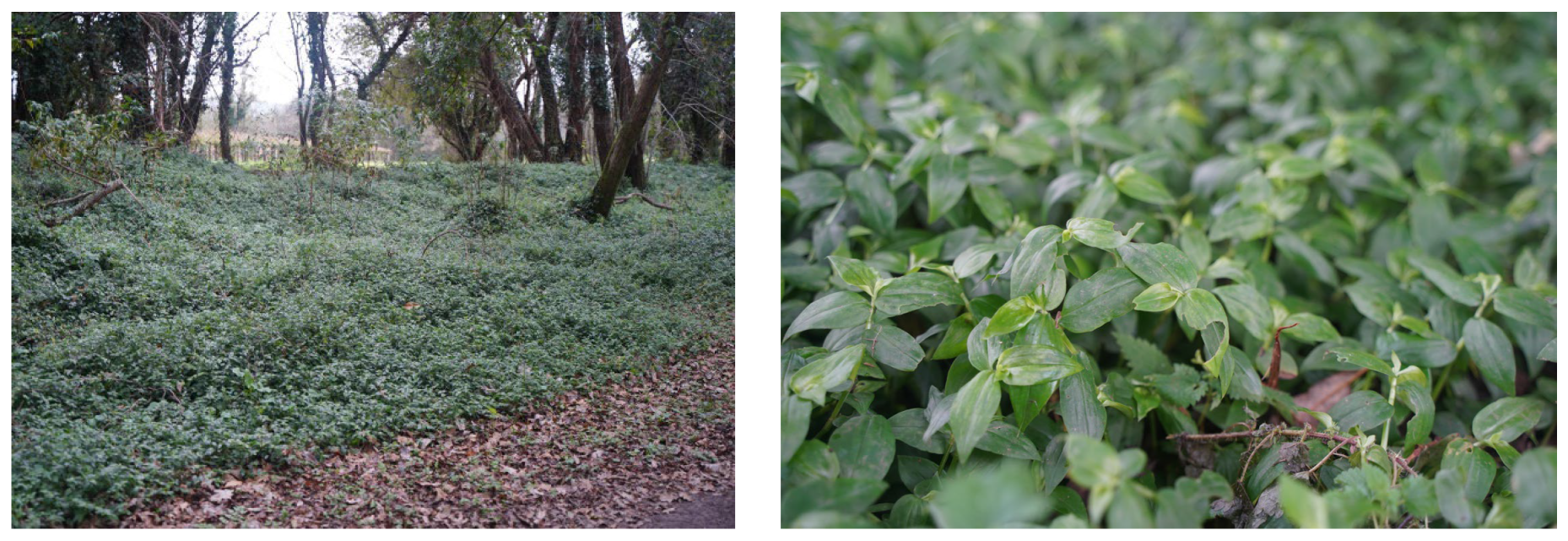 Applsci 15 01135 g001