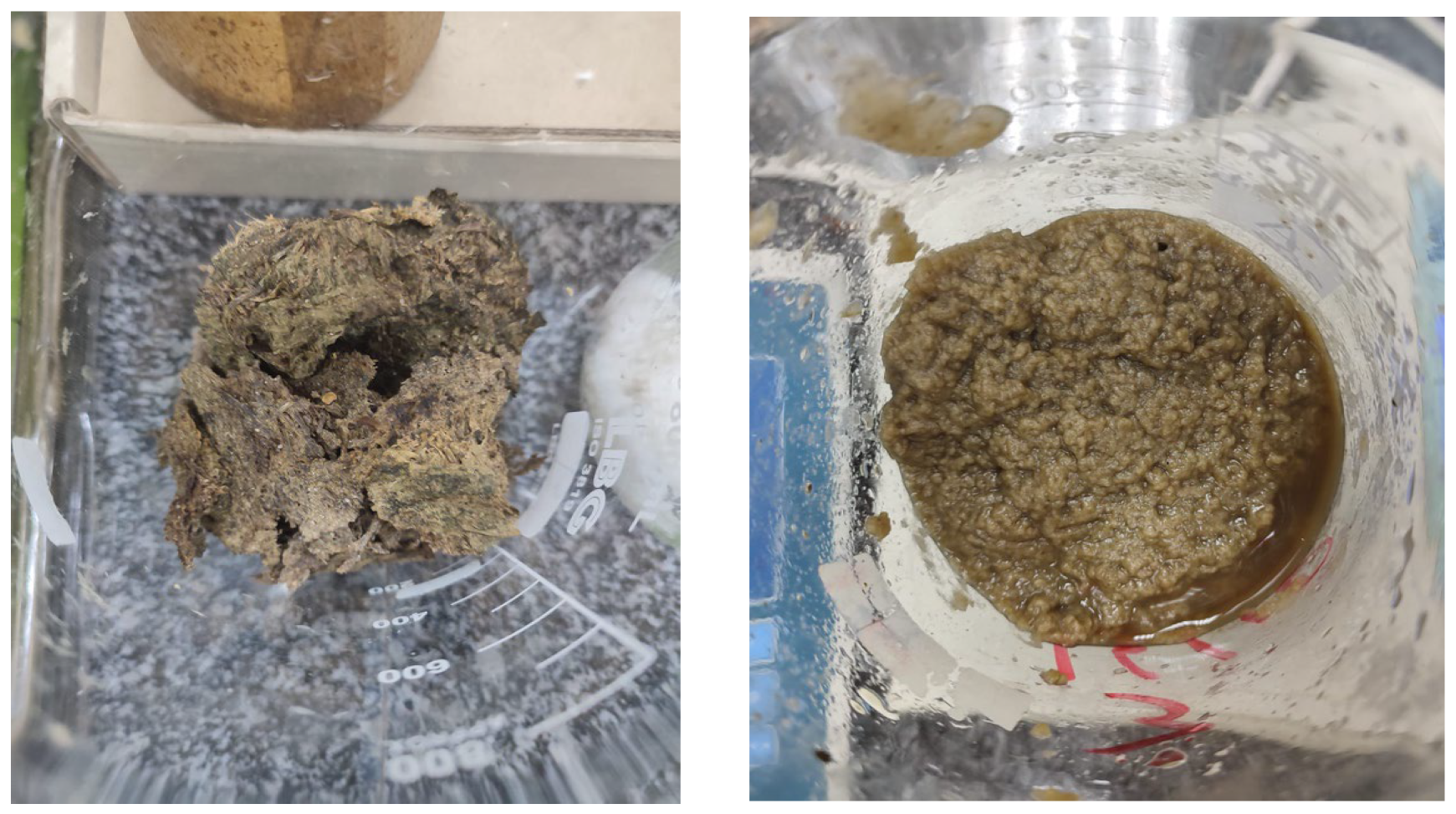 Applsci 15 01135 g003