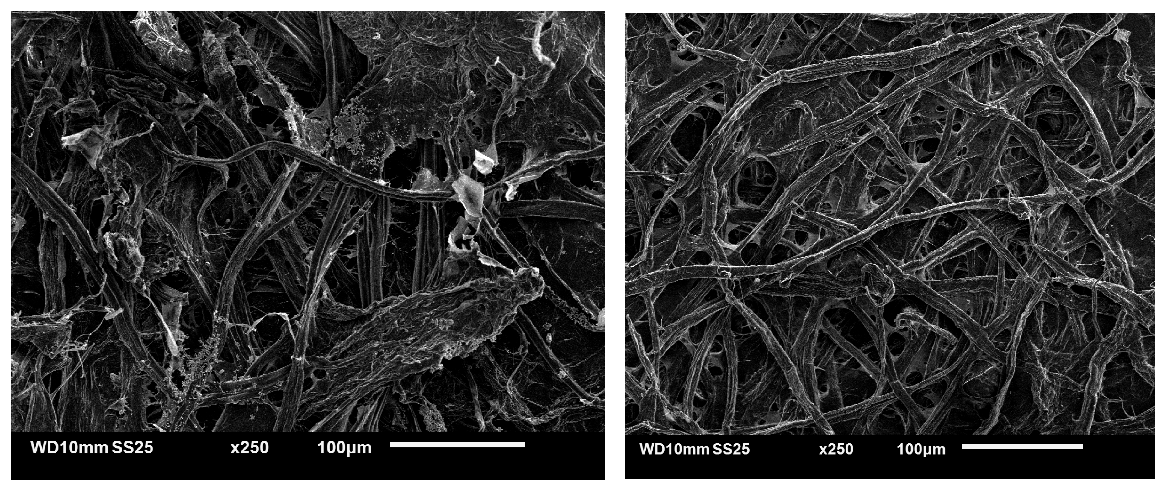 Applsci 15 01135 g004
