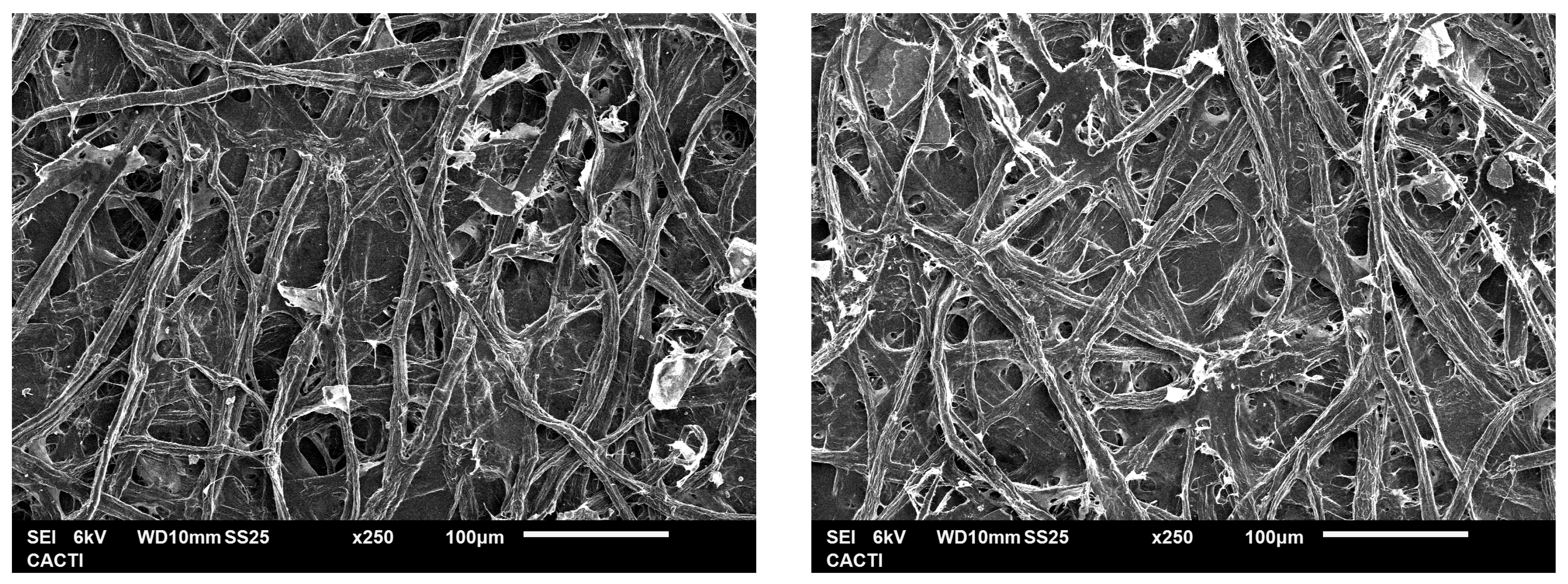 Applsci 15 01135 g011