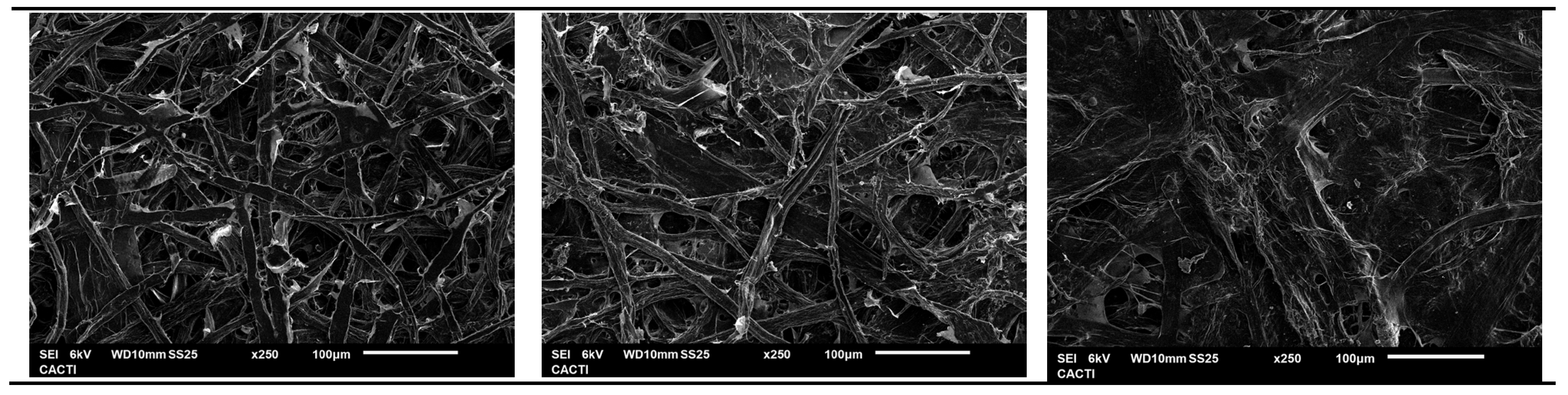 Applsci 15 01135 g012