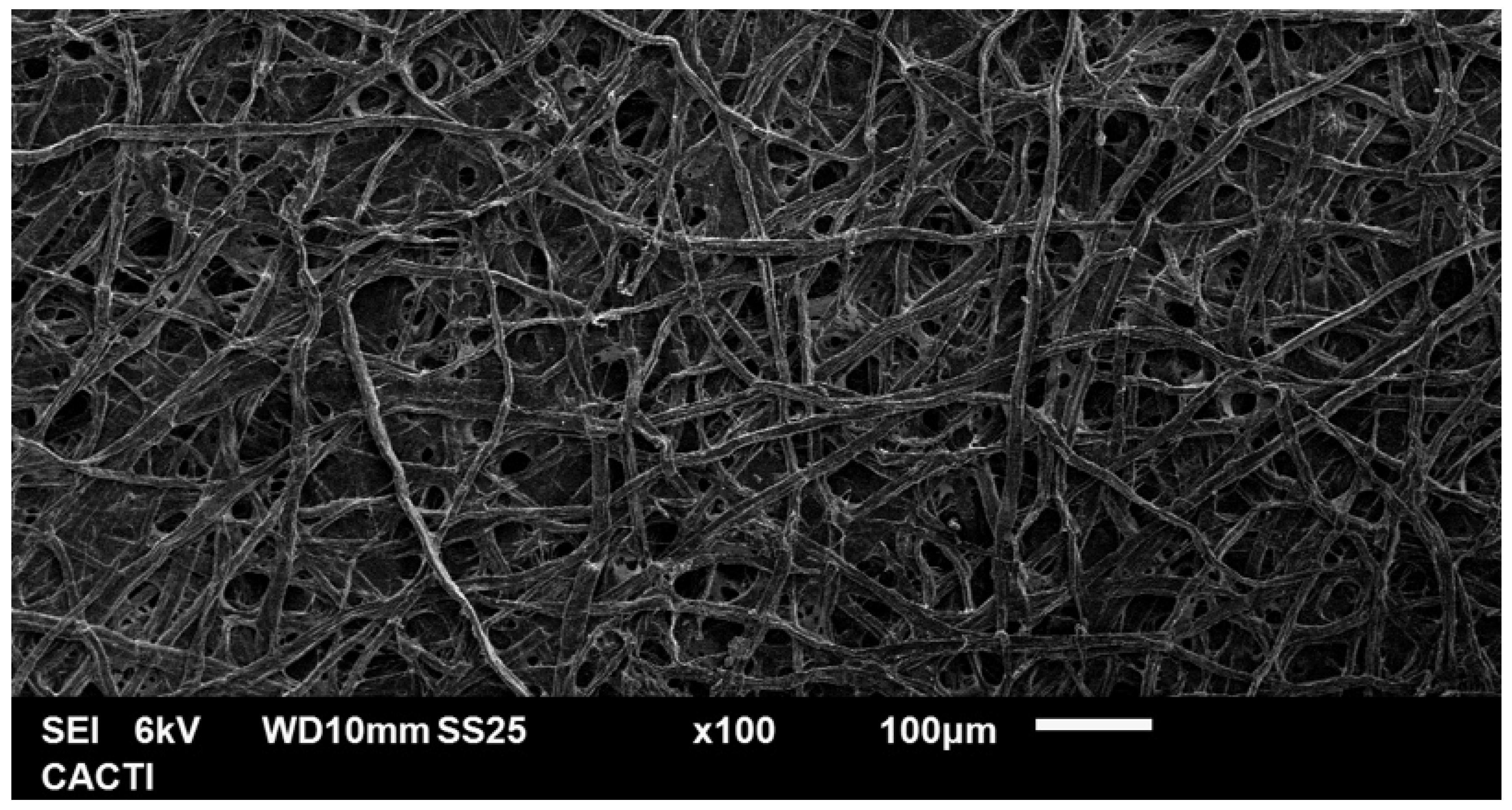 Applsci 15 01135 g013