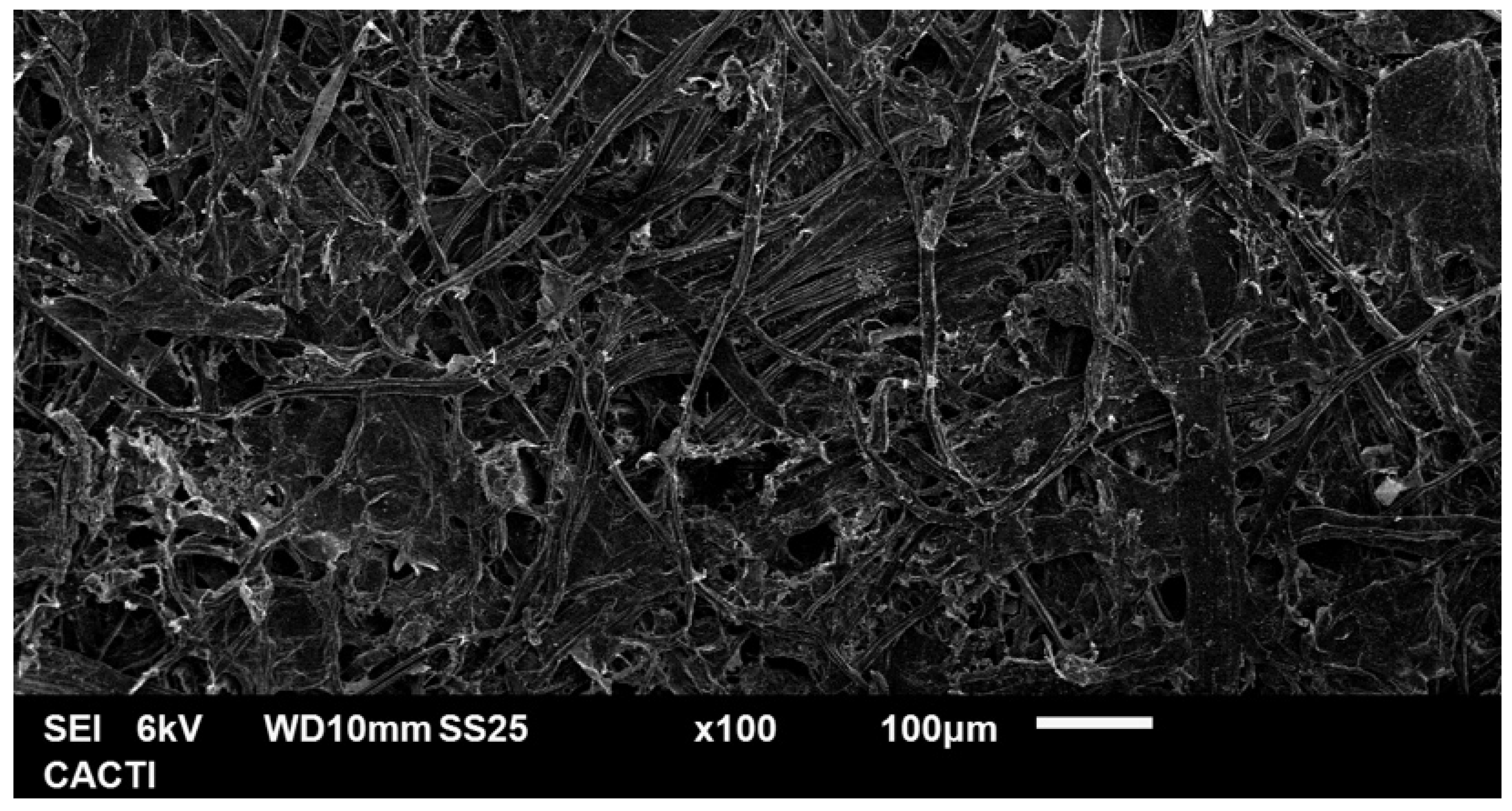 Applsci 15 01135 g014