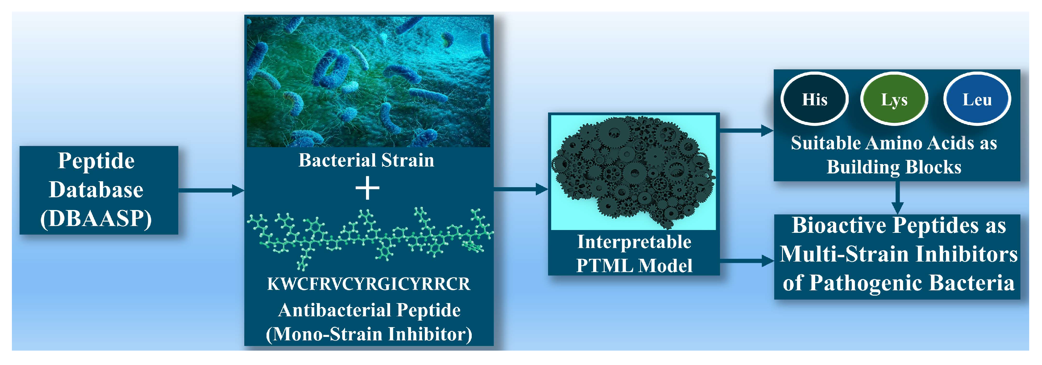Applsci 15 01166 g004 Applsci 15 01166 g004
