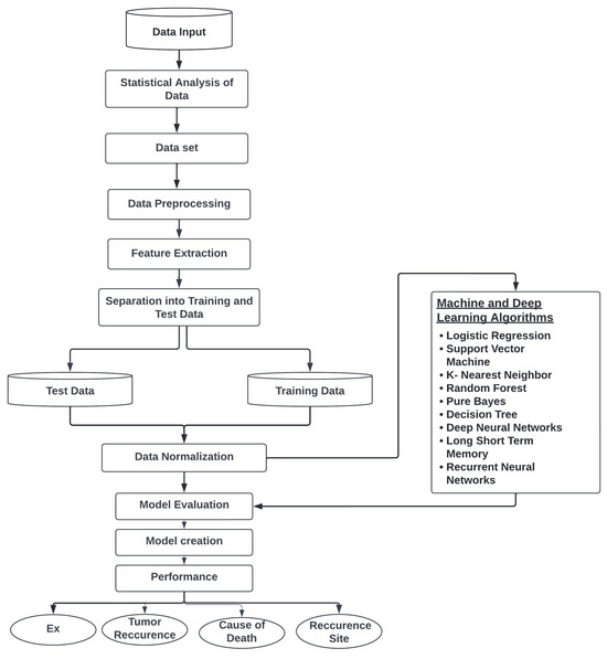 Applsci 15 01248 g001