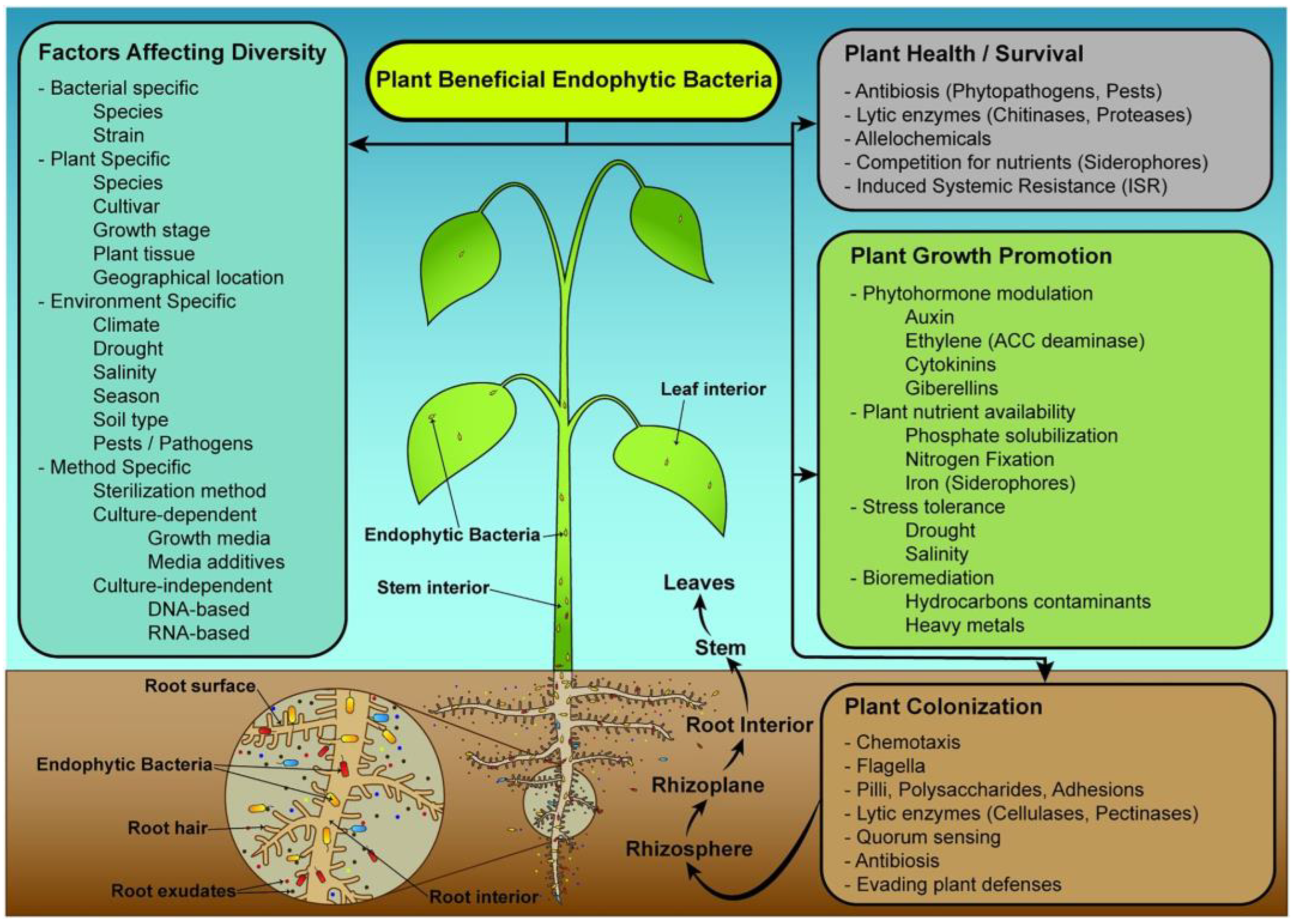 Applsci 15 01253 g002