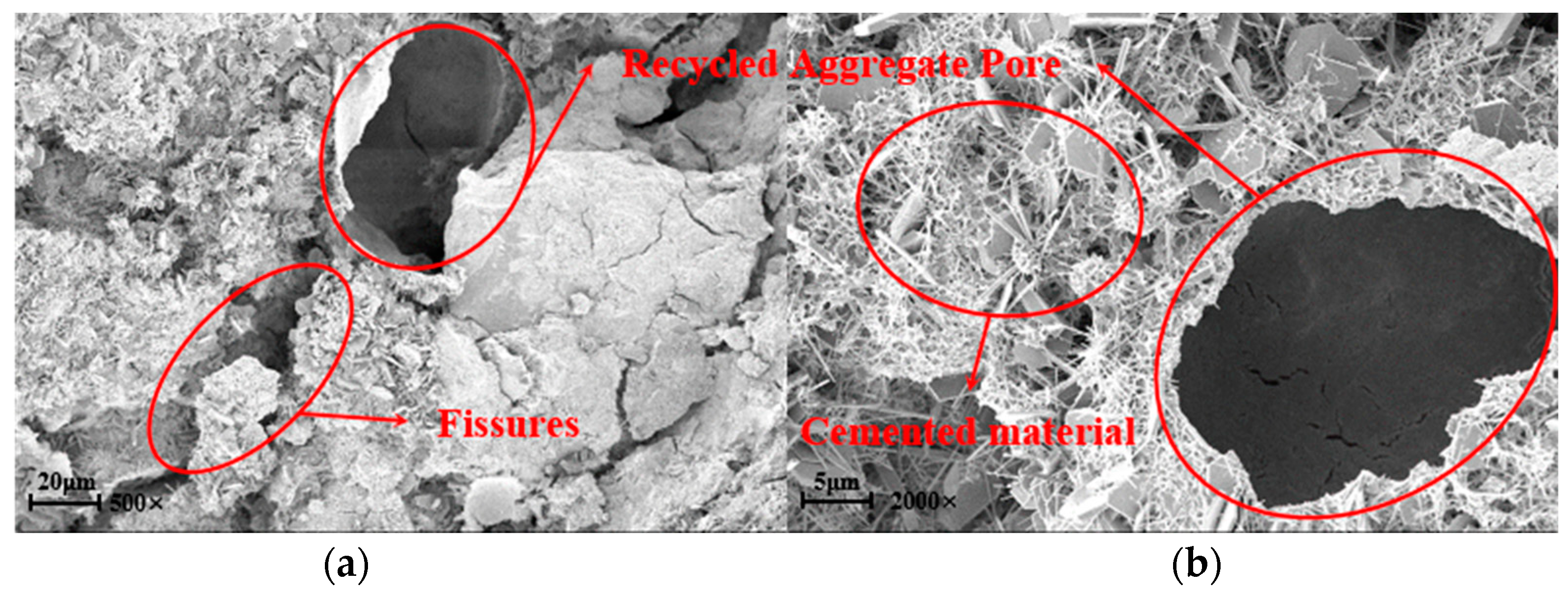 Applsci 15 01270 g013