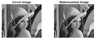 Applsci 15 01315 i001