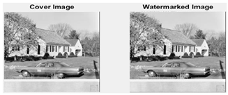 Applsci 15 01315 i004