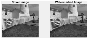 Applsci 15 01315 i007