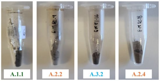 Applsci 15 01363 g0a4