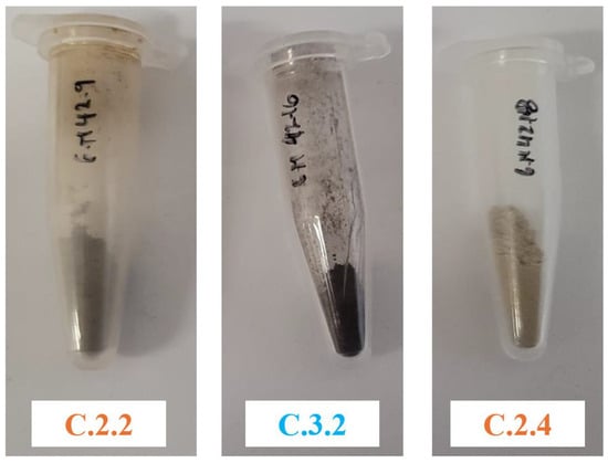 Applsci 15 01363 g0a5