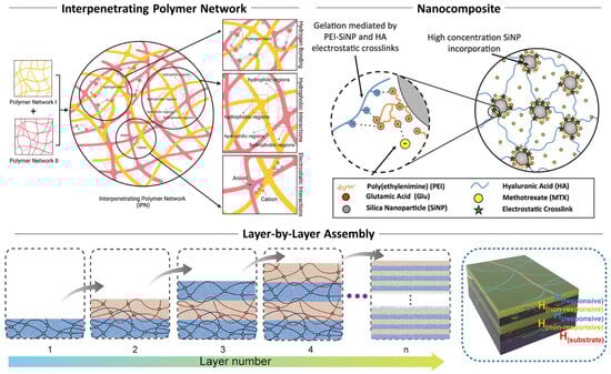 Applsci 15 01368 g002